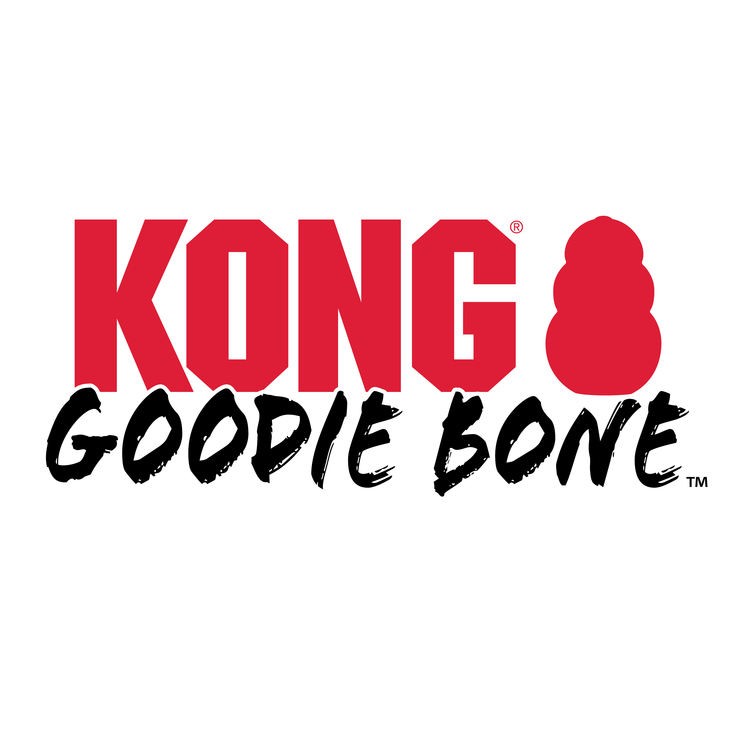 KONG Goodie Bone Osso da Masticare in Gomma Resistente, Dispenser di Premi per  Cani, Rosso, taglia Medium : : Prodotti per animali domestici