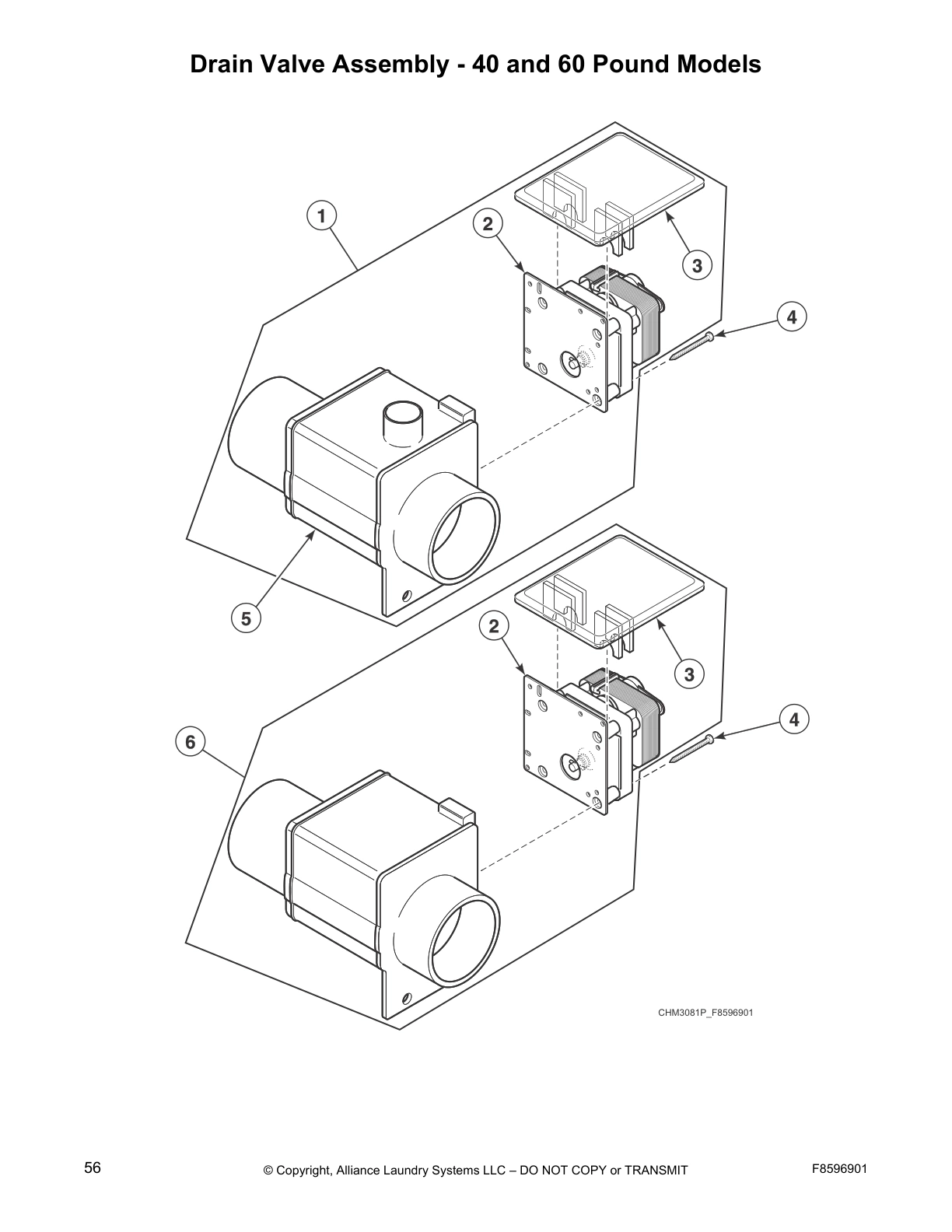 Drain Valve Assembly - 40 and 60 Pound Models