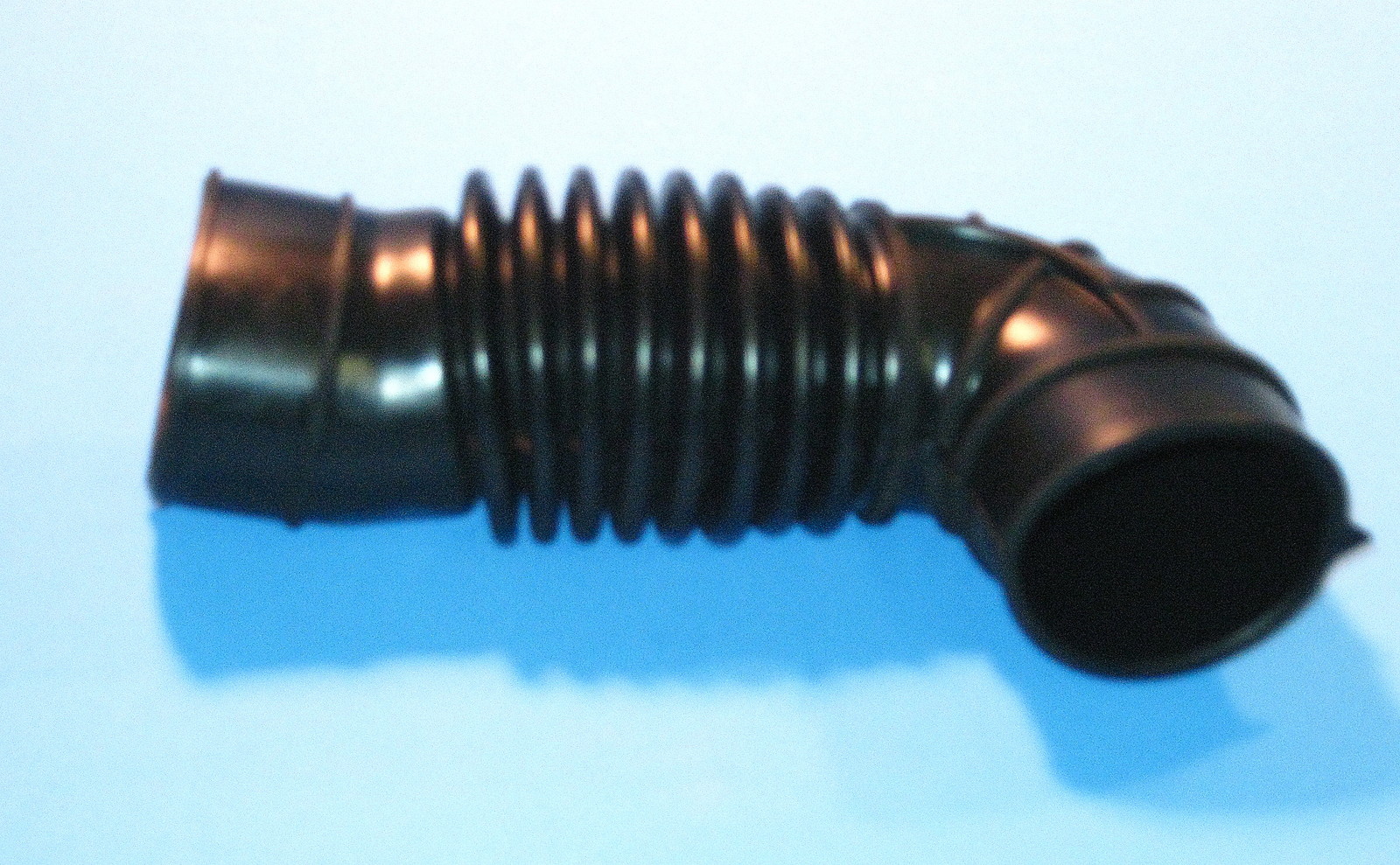 WP8181743