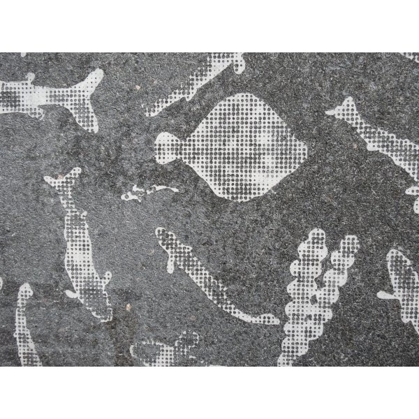 Graphic Concrete