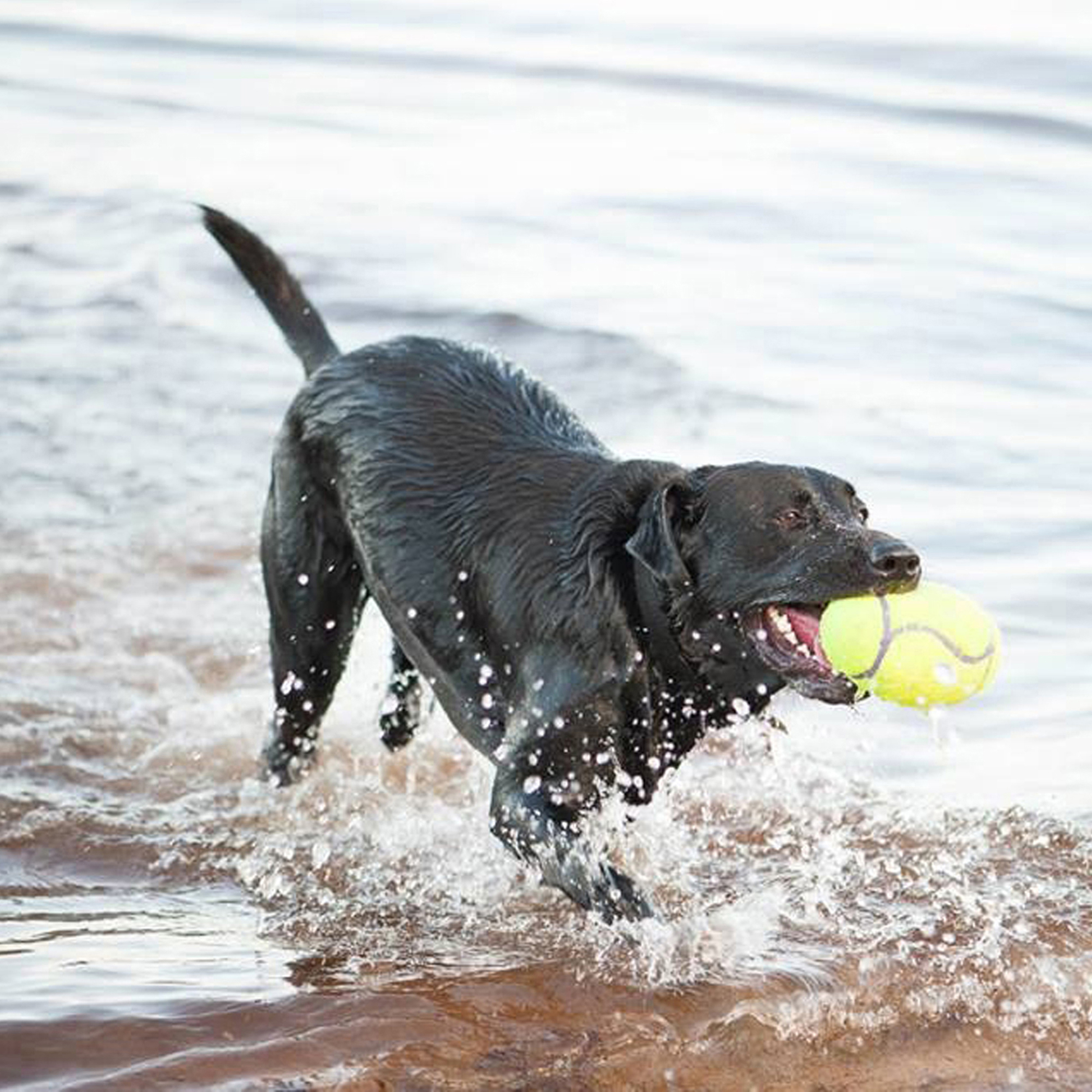 AirDog Stick életmód termékkép