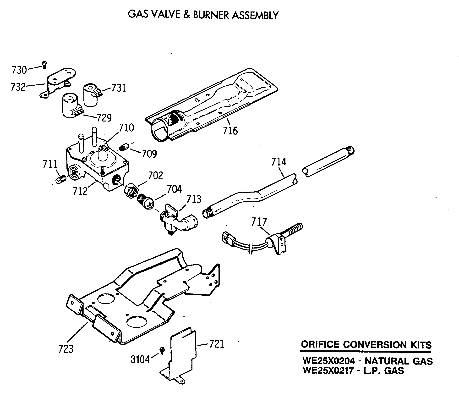 GAS VALVE & BURNER ASSEMBLY