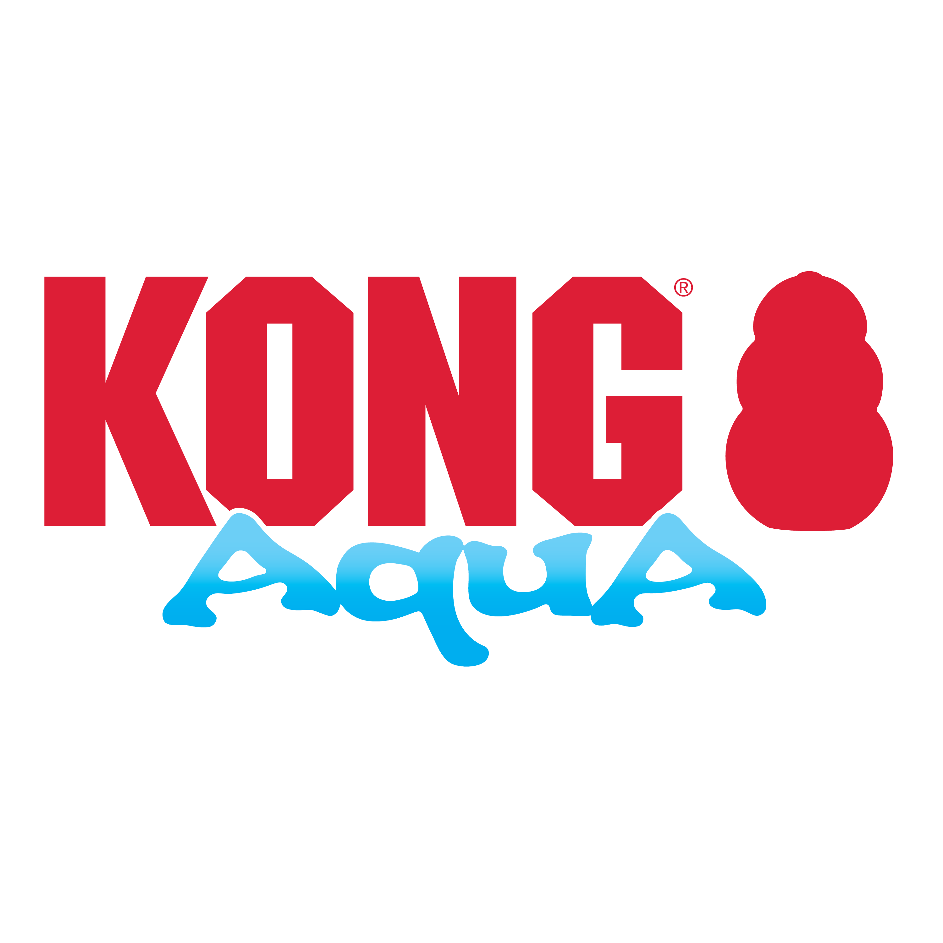 Kong aqua hot sale dog toy