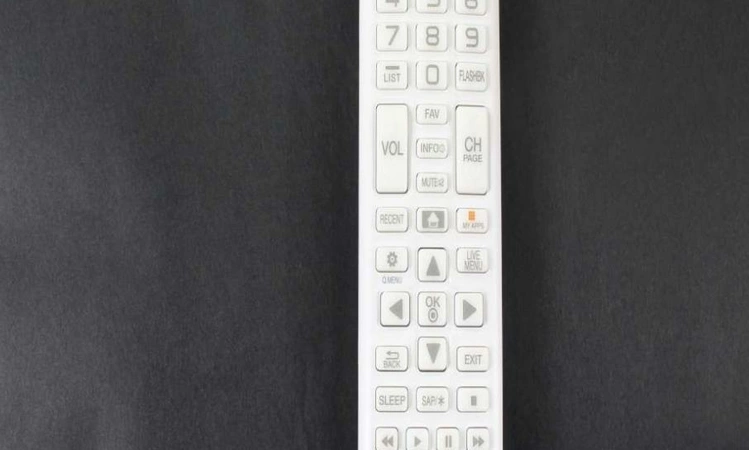 AAA75271709