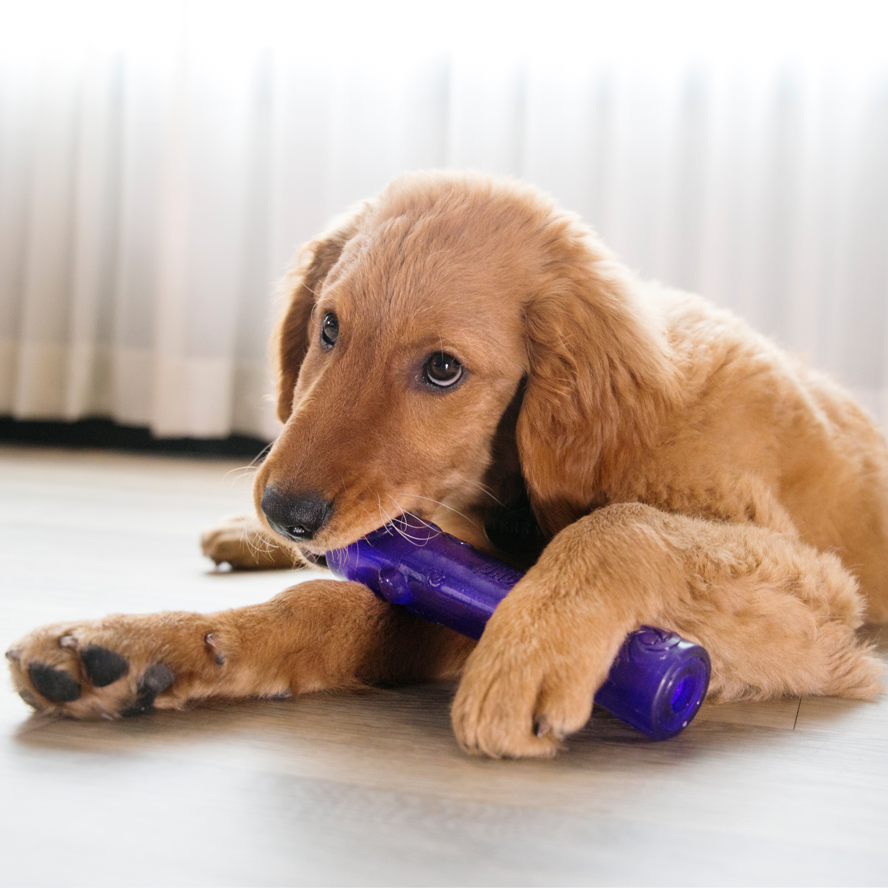 Squeezz Stick, Assorted Colors lifestyle product image