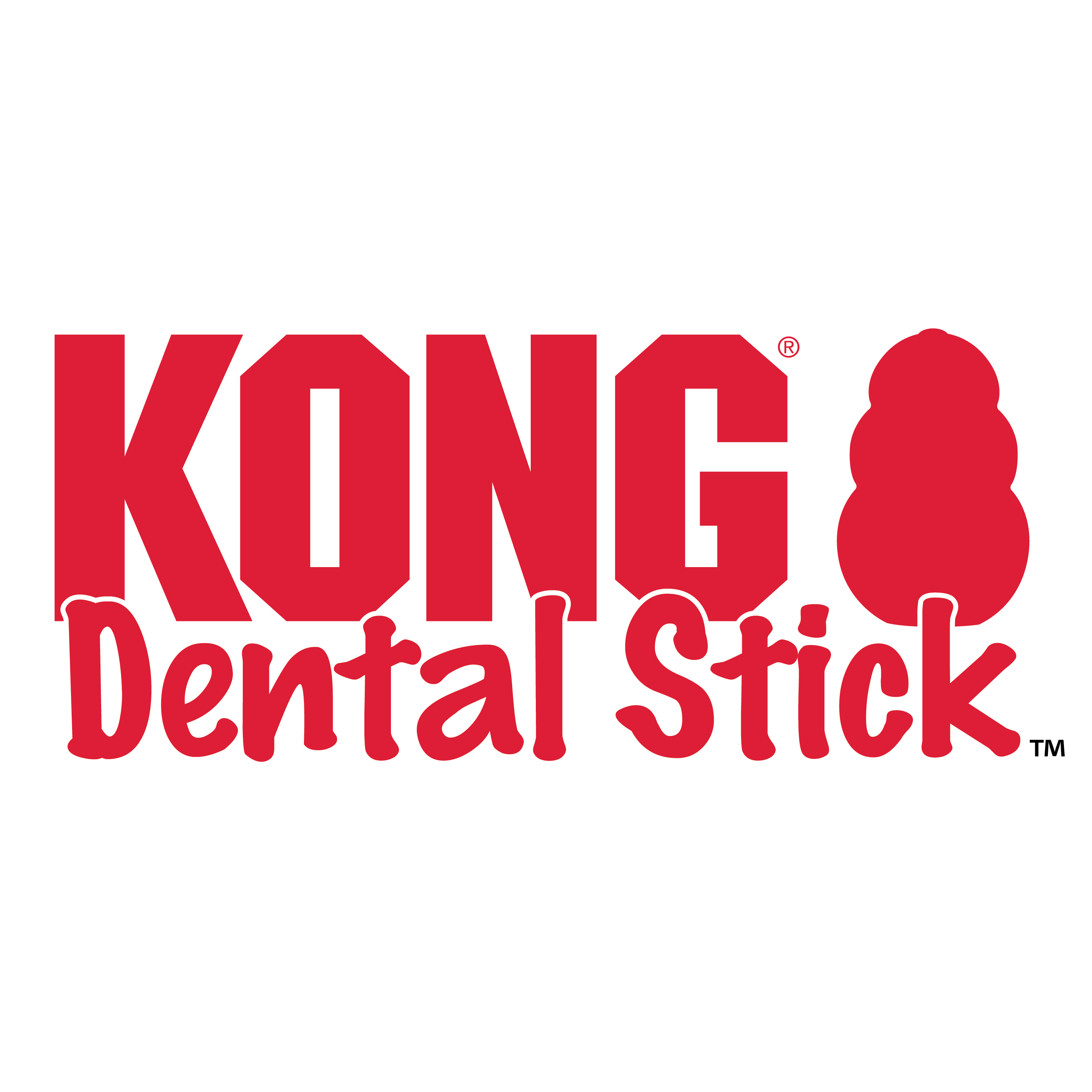 KONG Dental Stick alt1 produktbillede