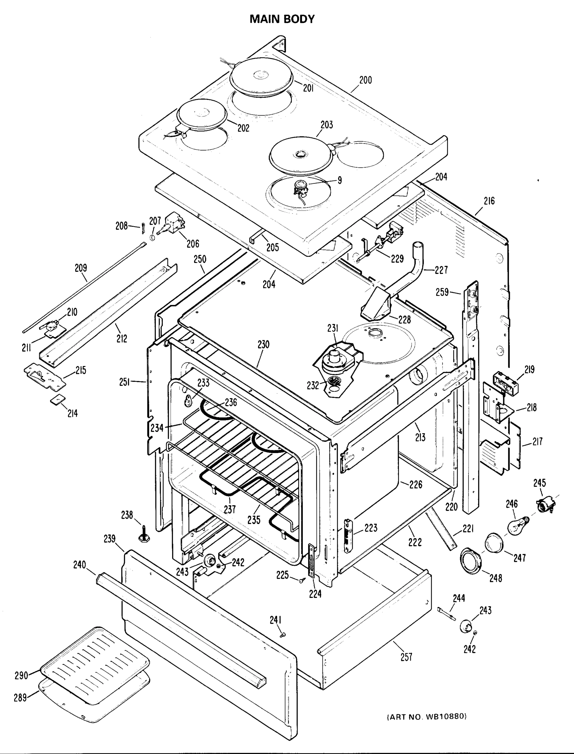 MAIN BODY