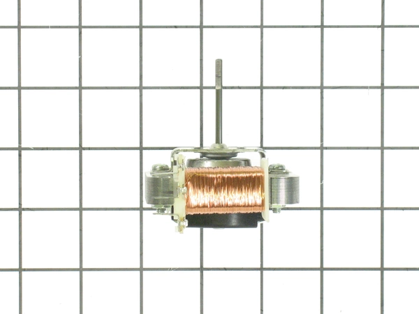 Blower Motor