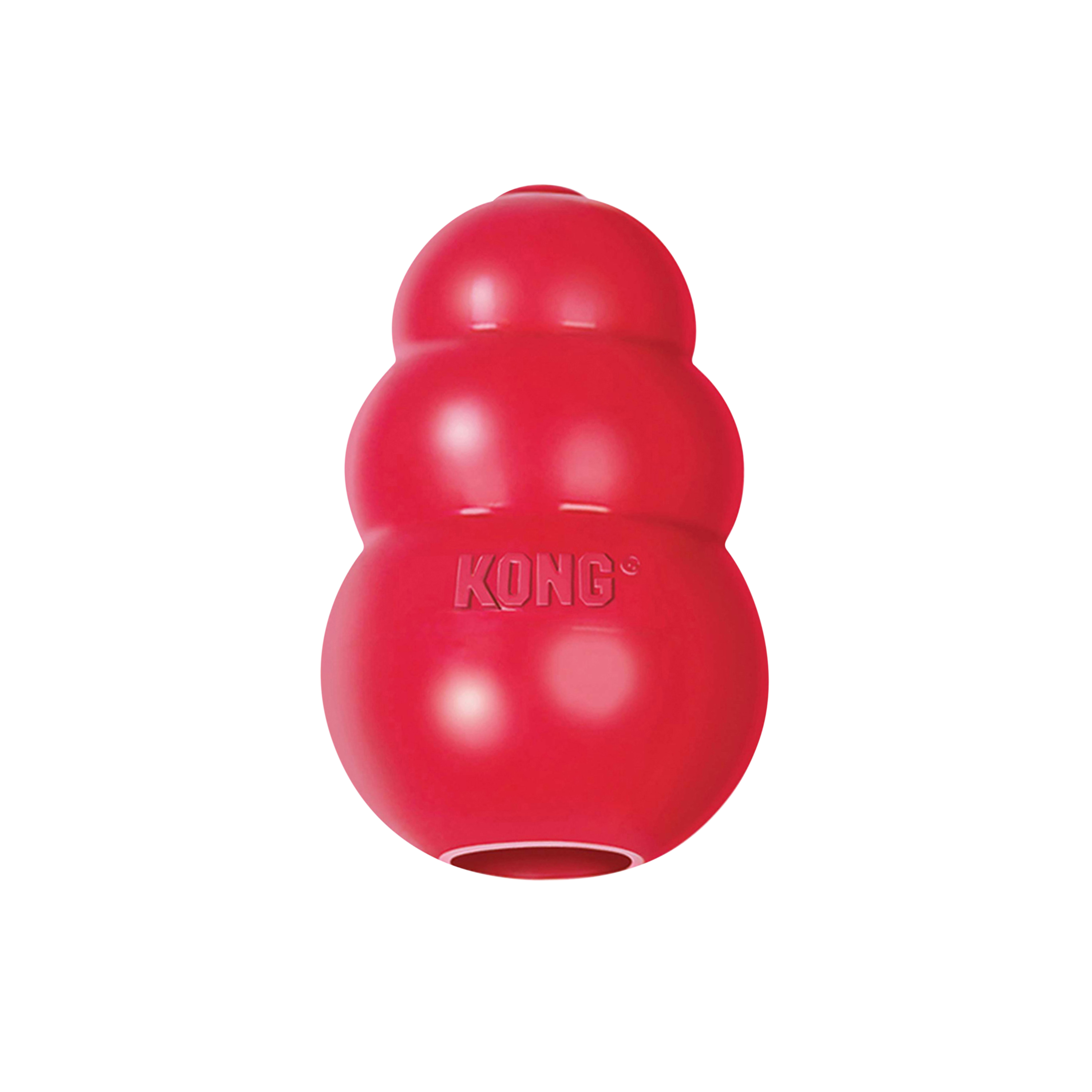 KONG Goodie Bone Dog Toys