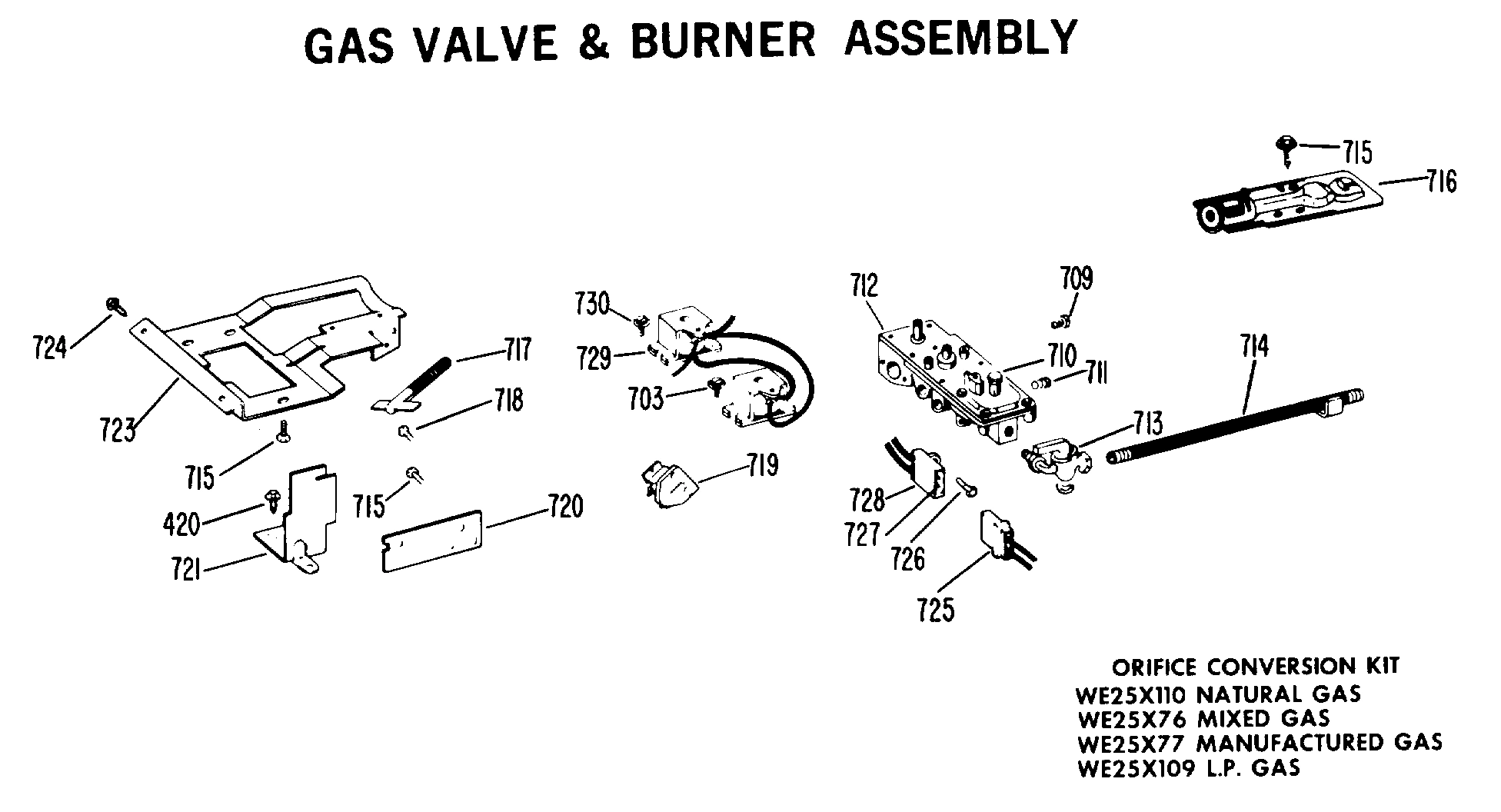 GAS VALVE & BURNER ASSEMBLY