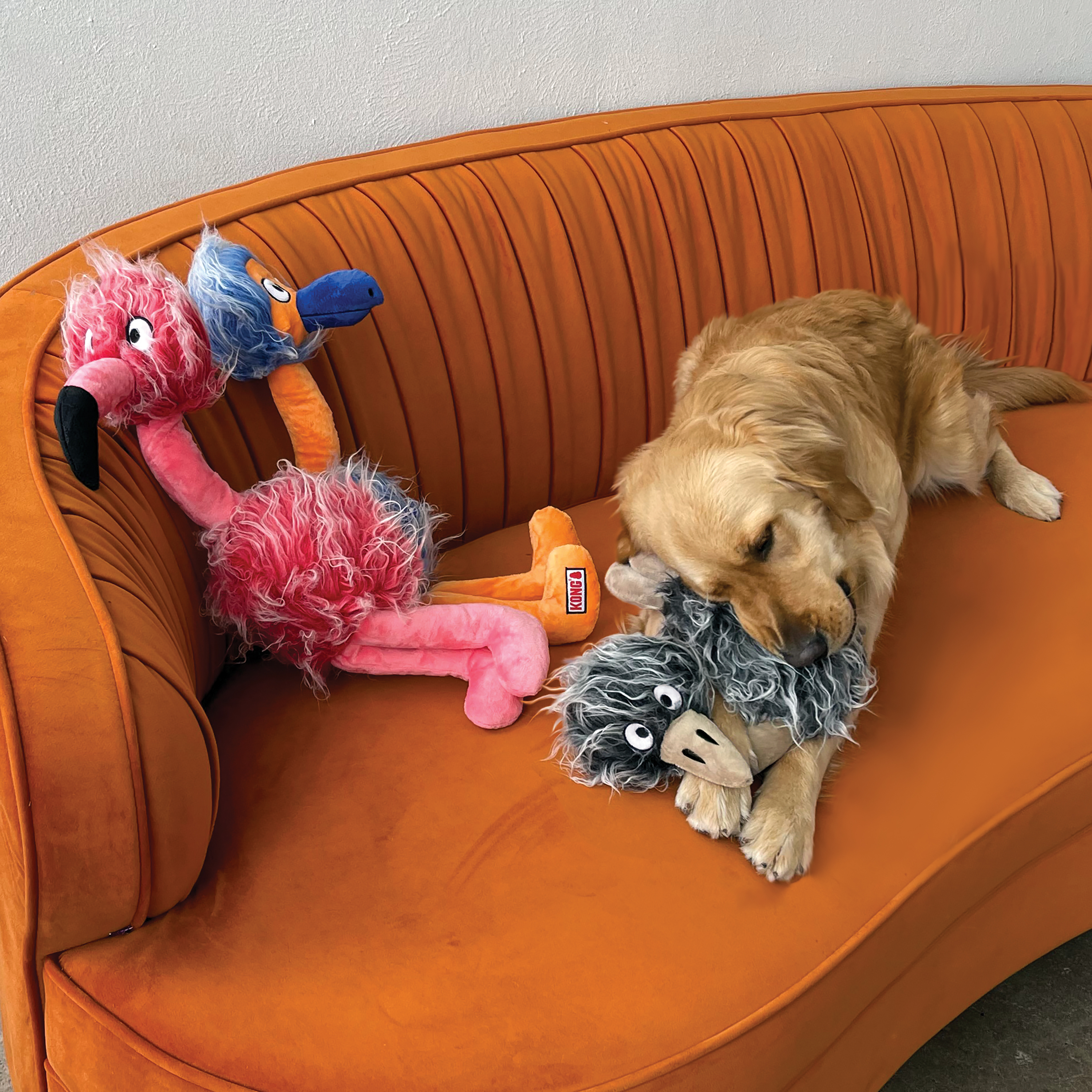 Comfort Jumbo Birds lifestyle product image