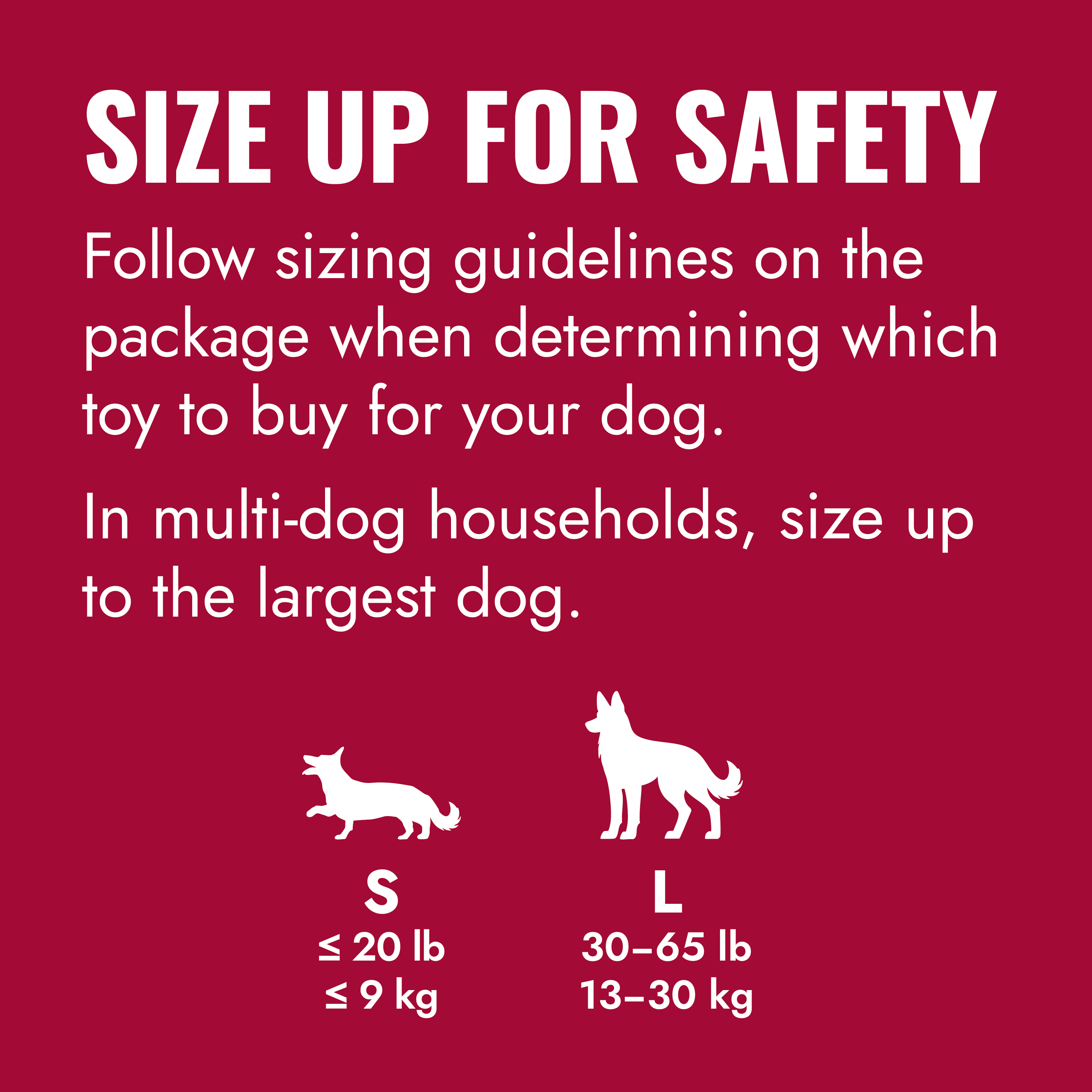KONG Flyer educational1 product image
