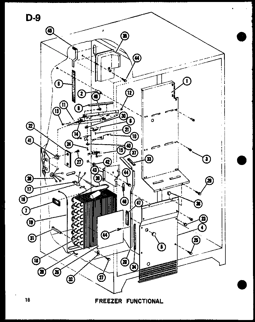 02 - FZ FUNCTIONAL