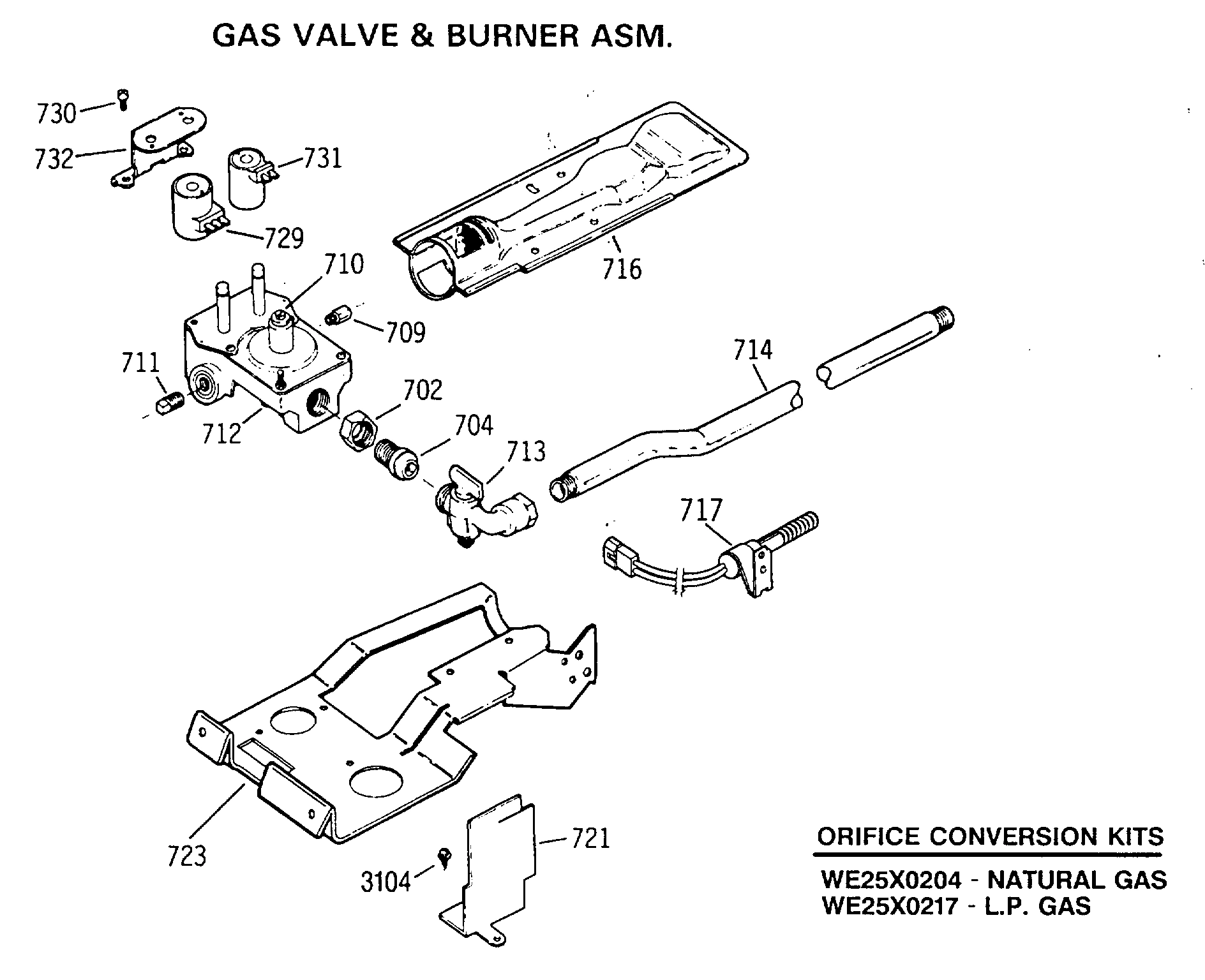 GAS VALVE & BURNER ASM.