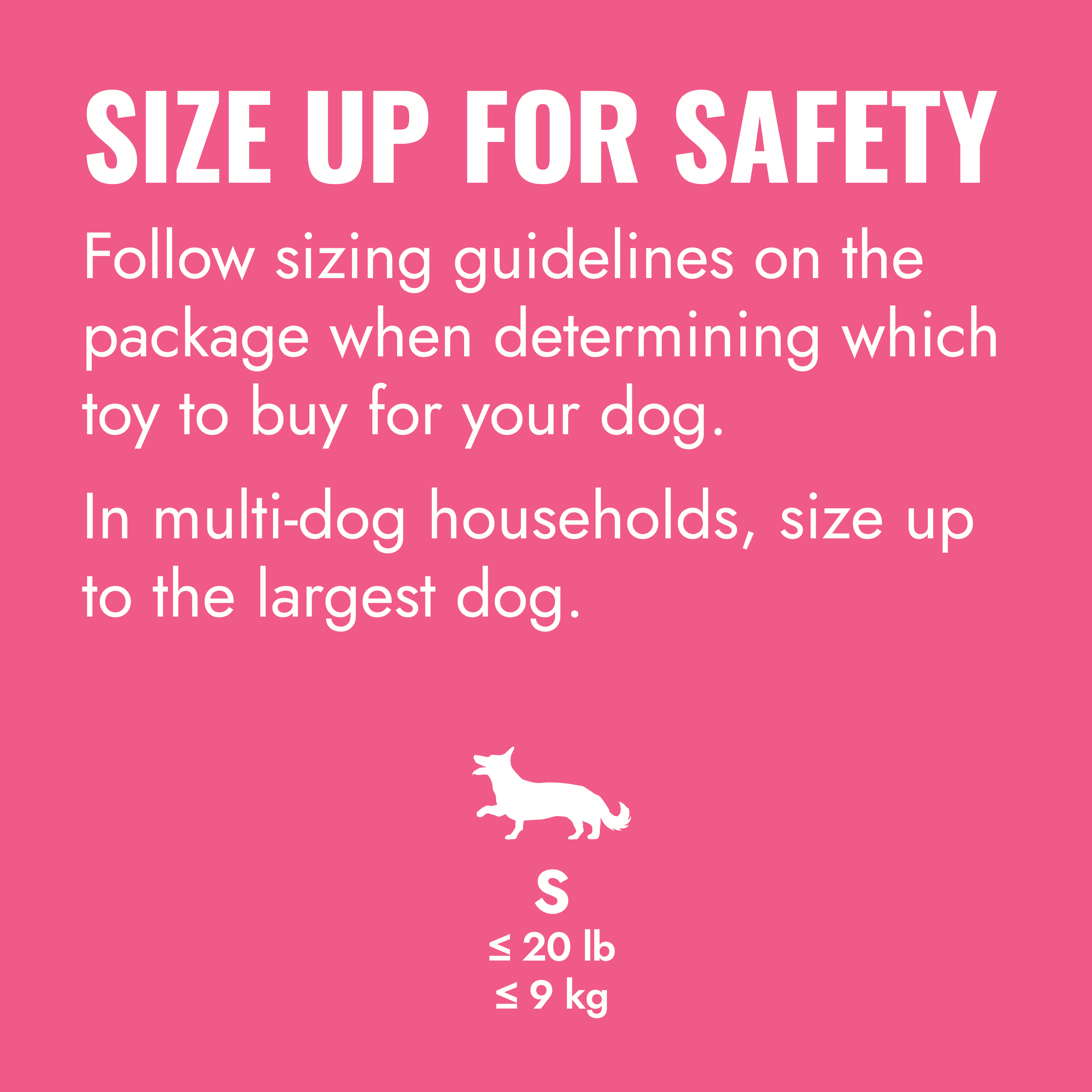 KONG Puppy Goodie Bone educational1 product image