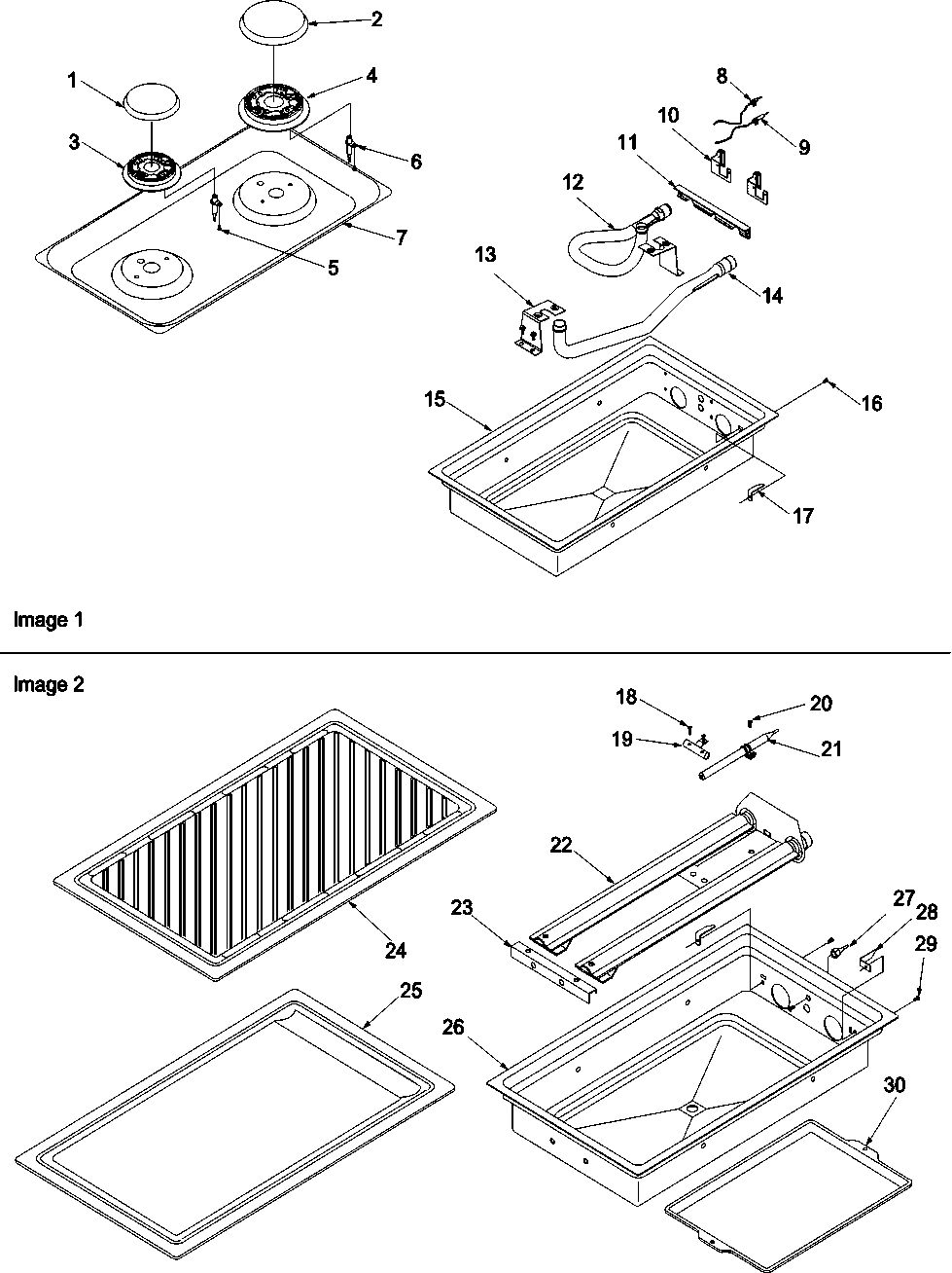 01 - Burner, Grille Assy and ACS200 Griddle