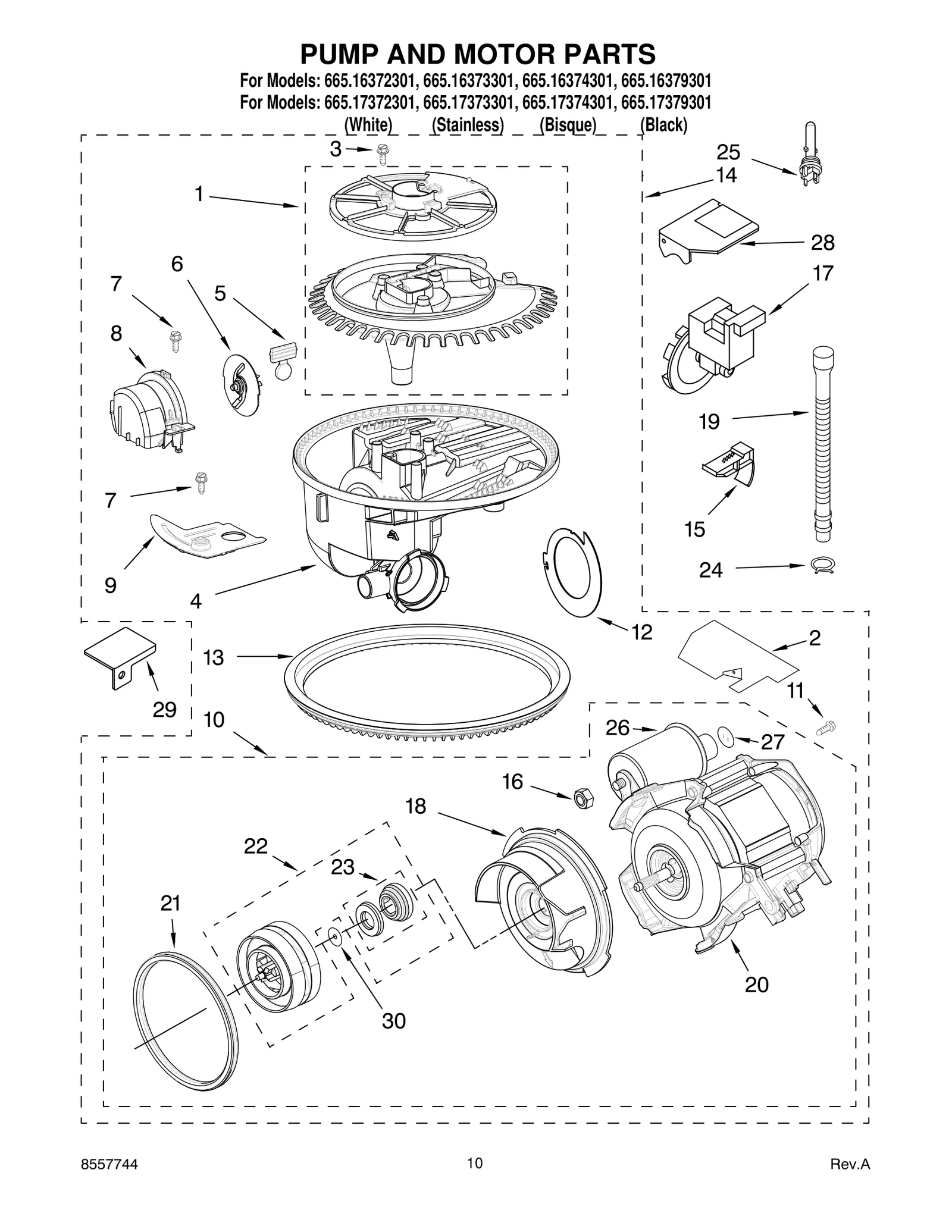 PUMP AND MOTOR PARTS