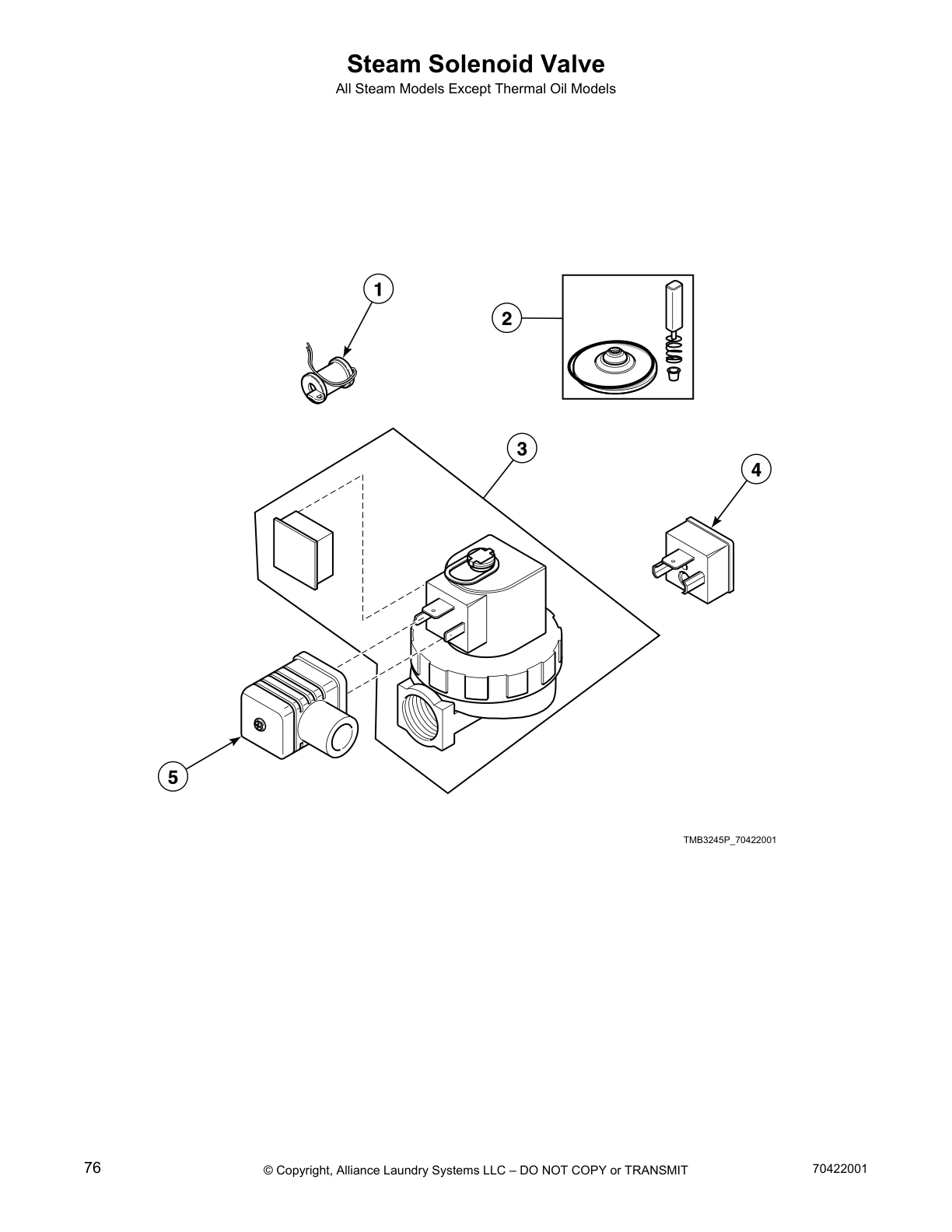 Steam Solenoid Valve