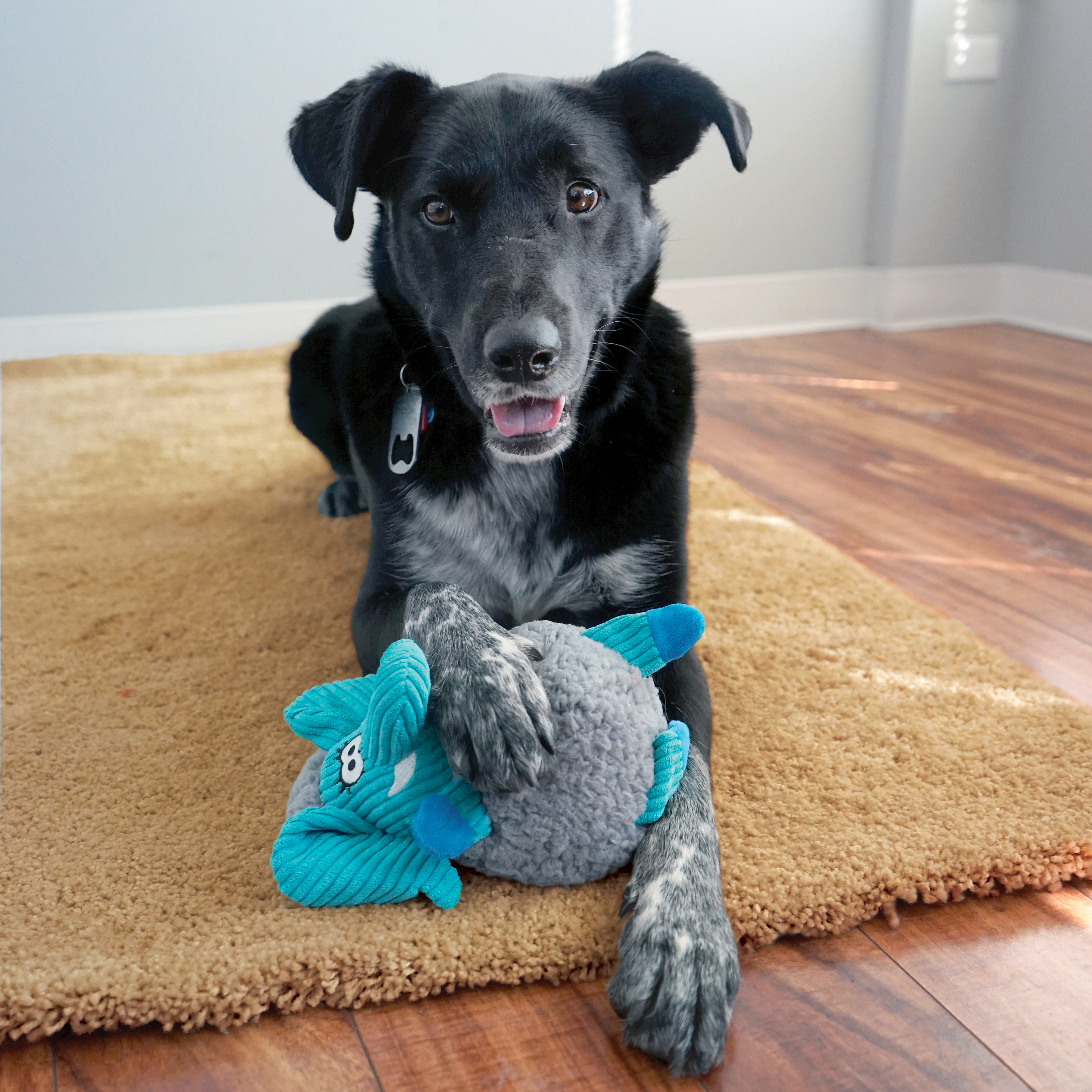 Sherps Floofs Moose lifestyle product image