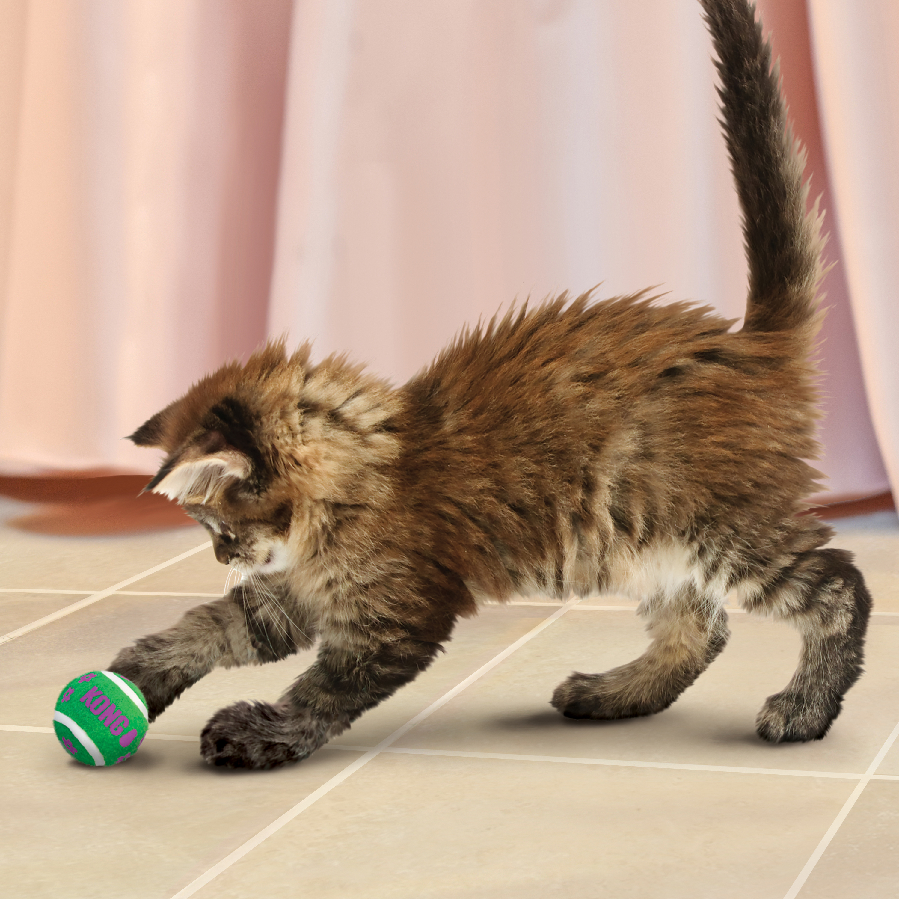 Cat with a ball hotsell