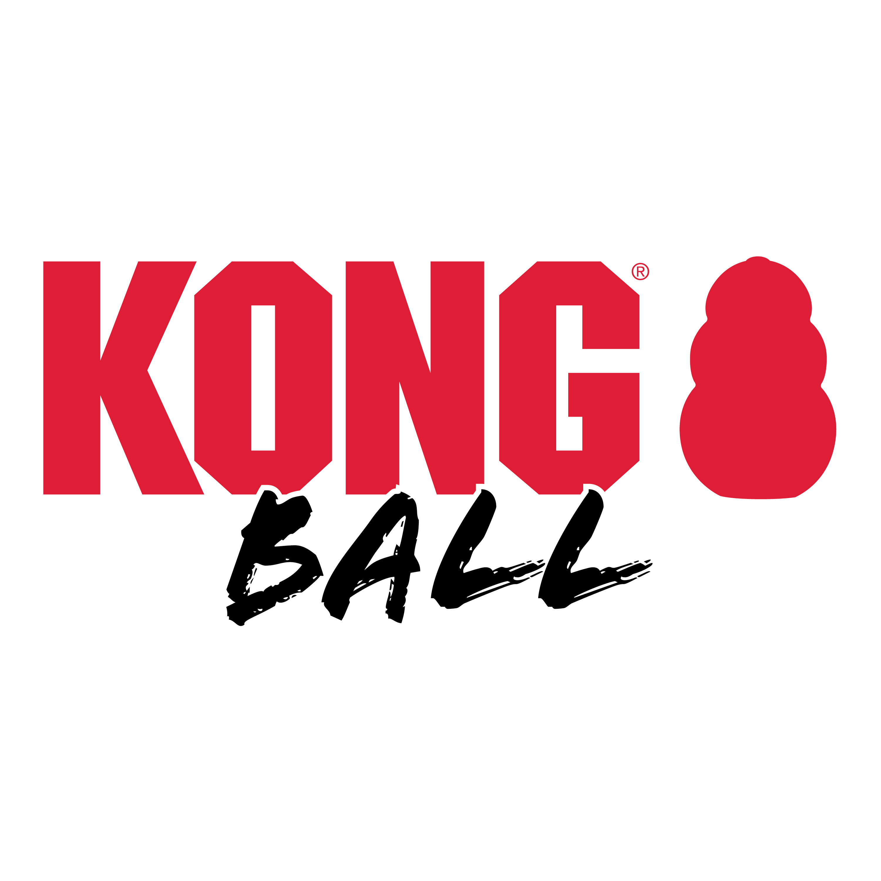 KONG Extreme Ball w Rope KONG Company