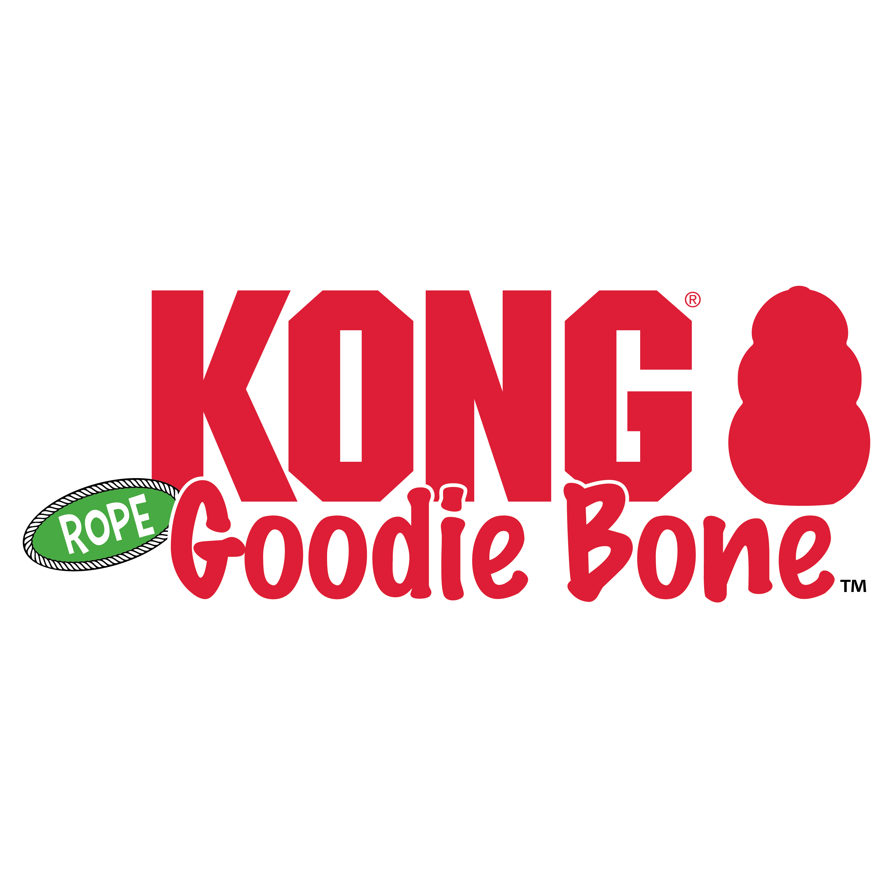 KONG Goodie Bone w/Rope alt1 product image