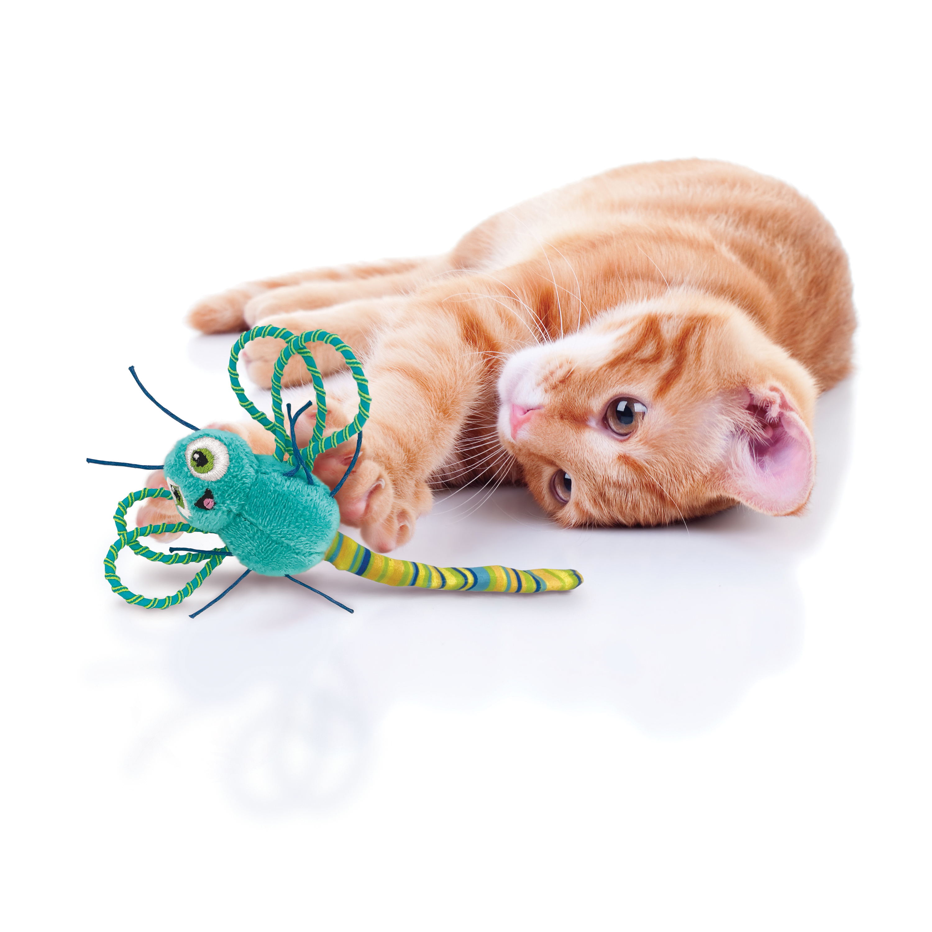 Dragonfly store cat toy