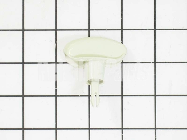 WD09X10031