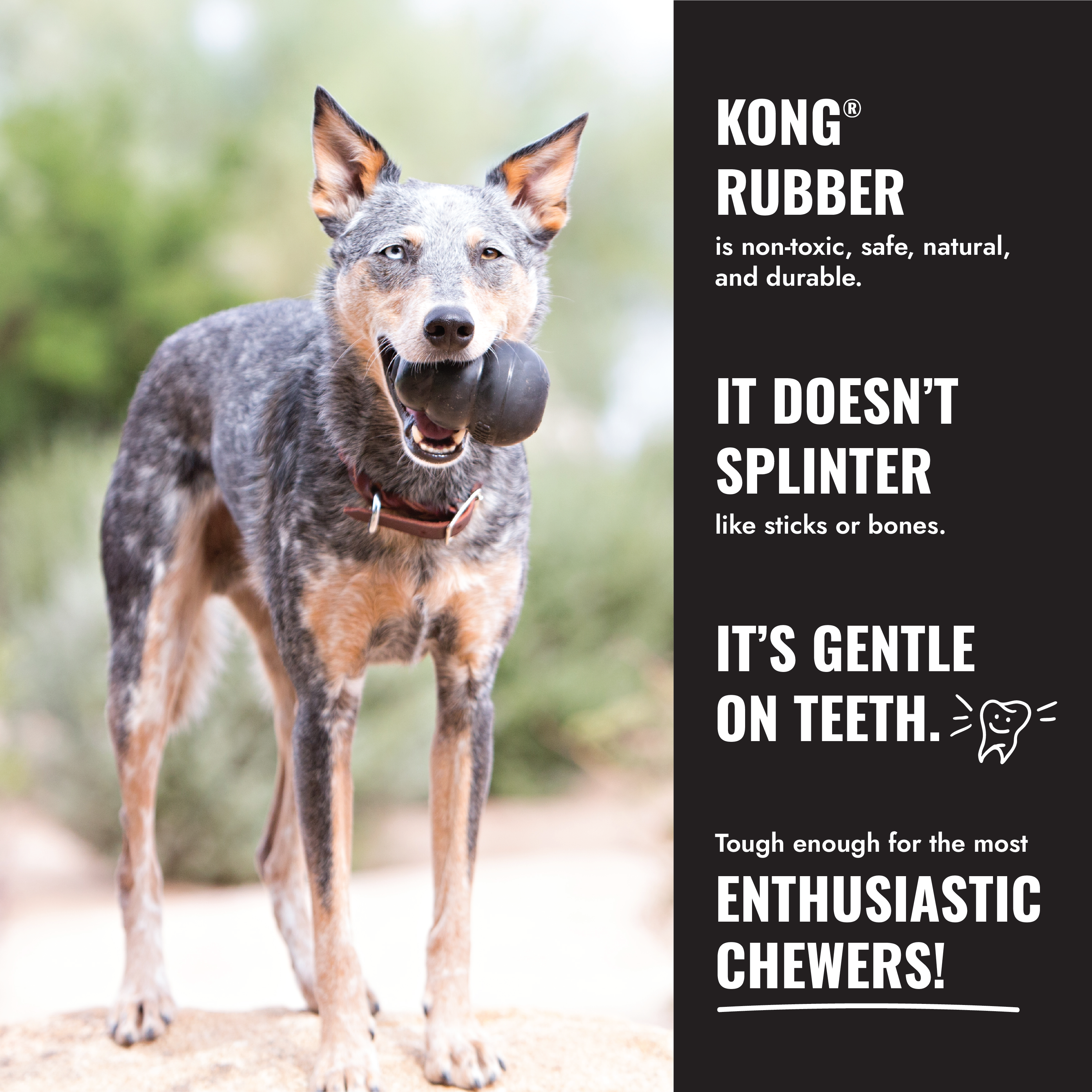 KONG Extreme Ball educational4 product image