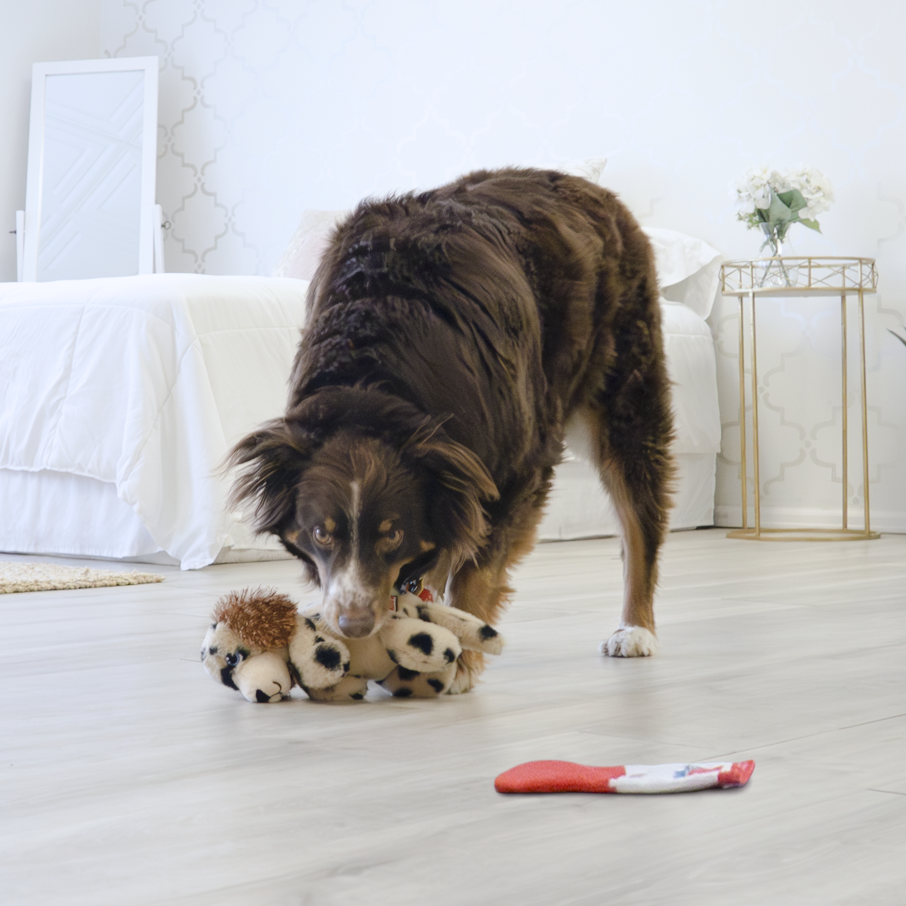 Comfort Pups Spot életmód termékkép