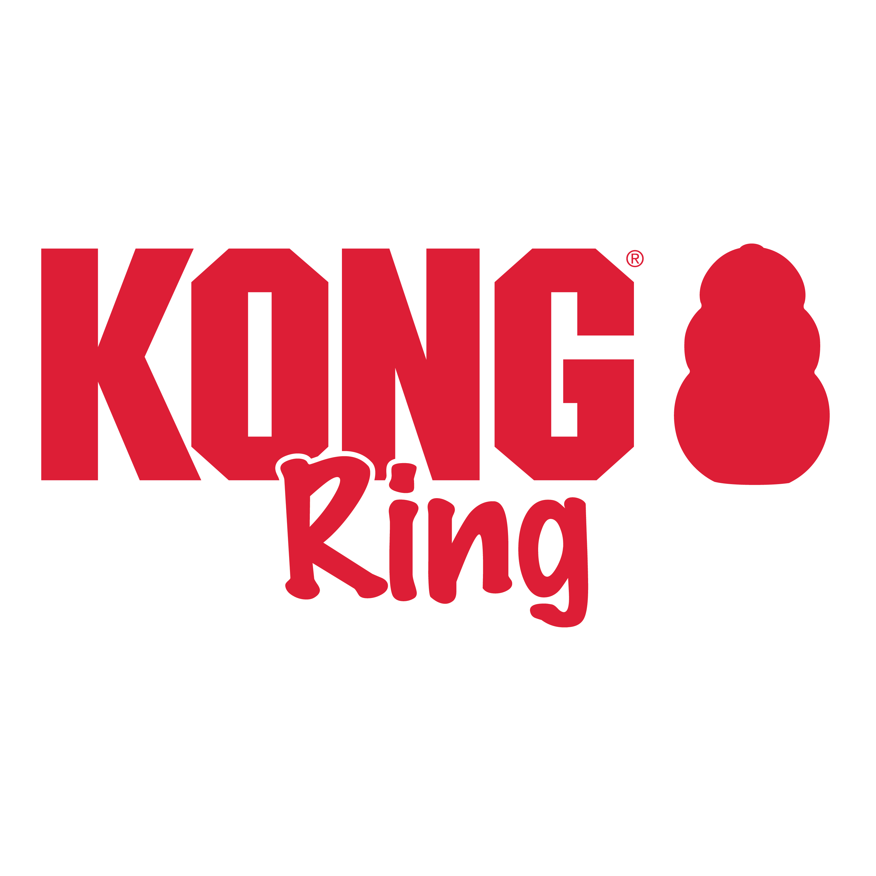 KONG Ring alt1 product image