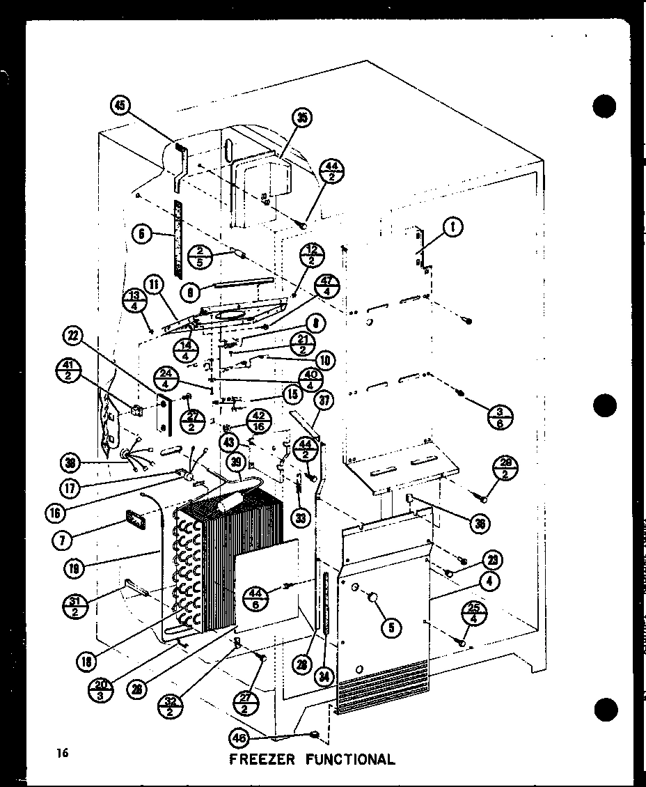 04 - FZ FUNCTIONAL