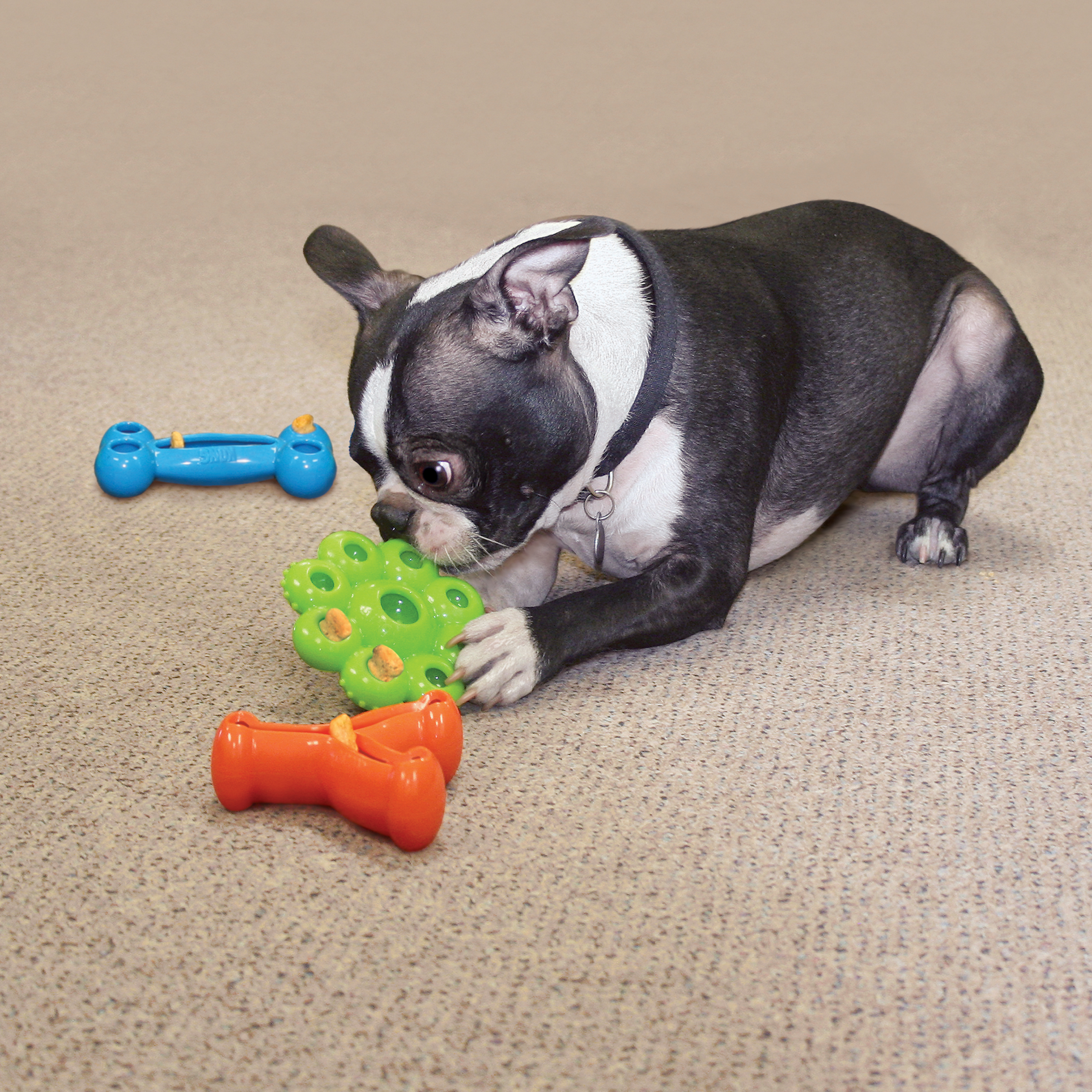 KONG Ballistic Hide 'N Treat Dog Toy, Assorted, Medium 