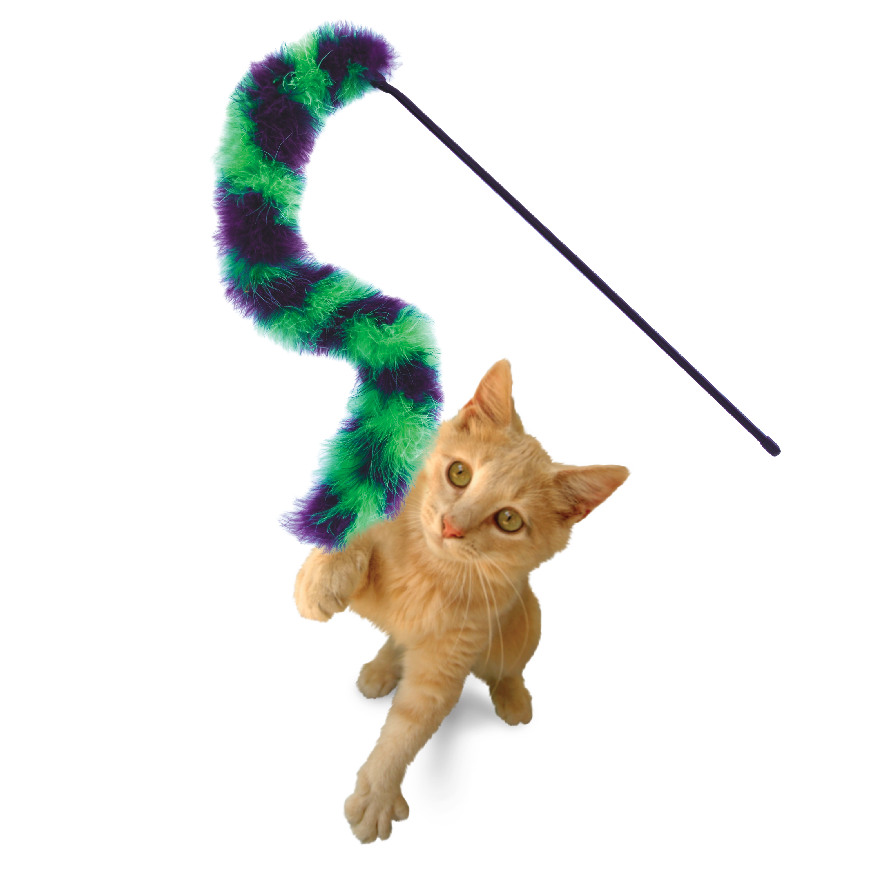 Cat Active Twisted Boa Teaser estilo de vida imagem do produto