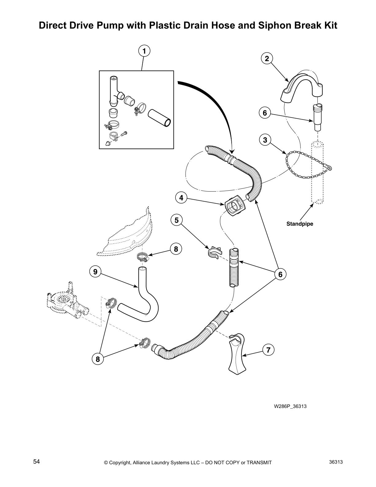 Direct Drive Pump with Plastic Drain Hose and Siphon Break Kit