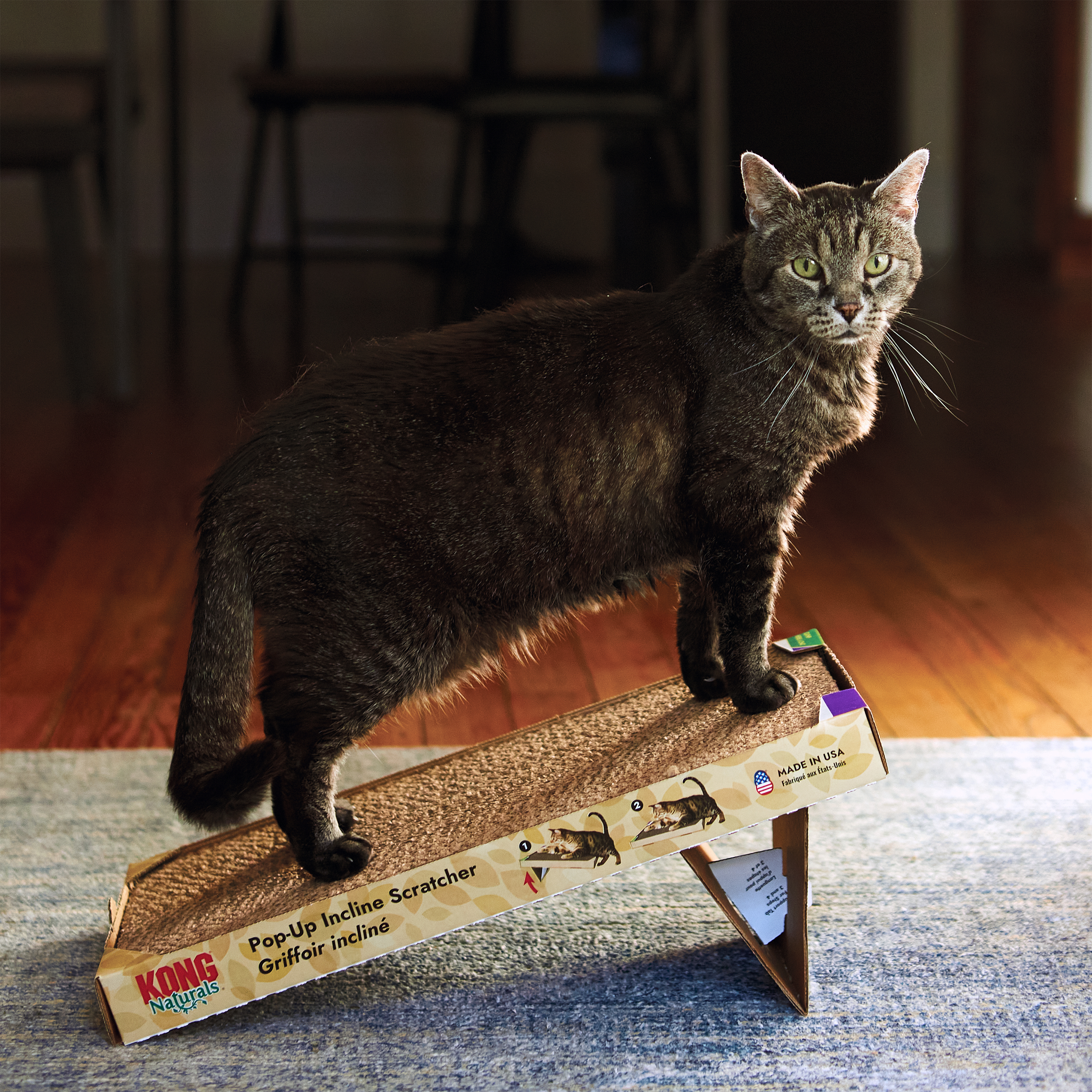 Naturals® Pop-Up Incline Scratcher lifestyle product image