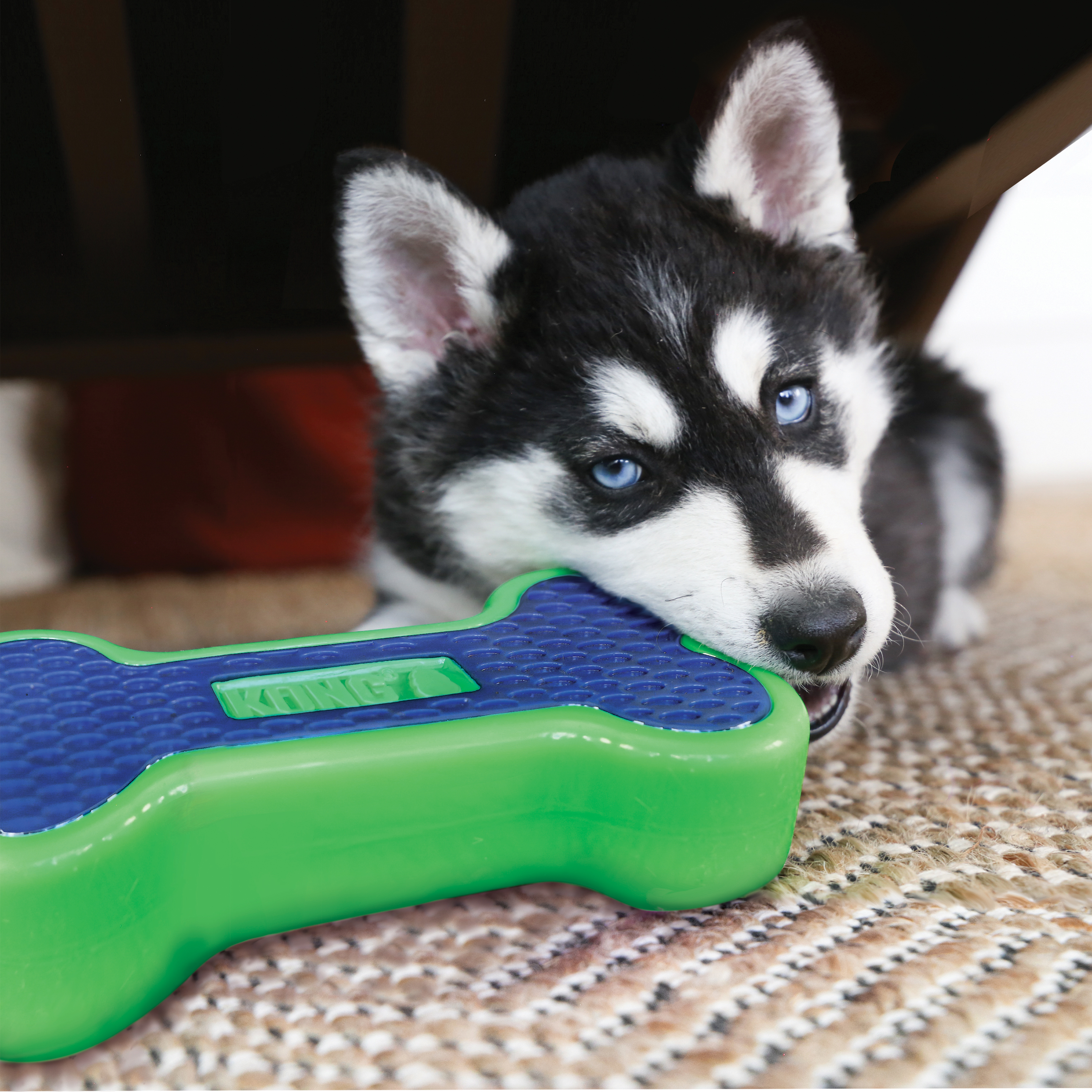 Eon Paw lifestyle product image