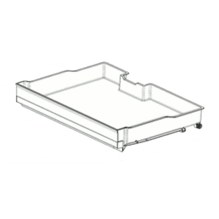 AJP76054501