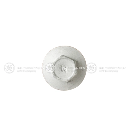 WP01X21031