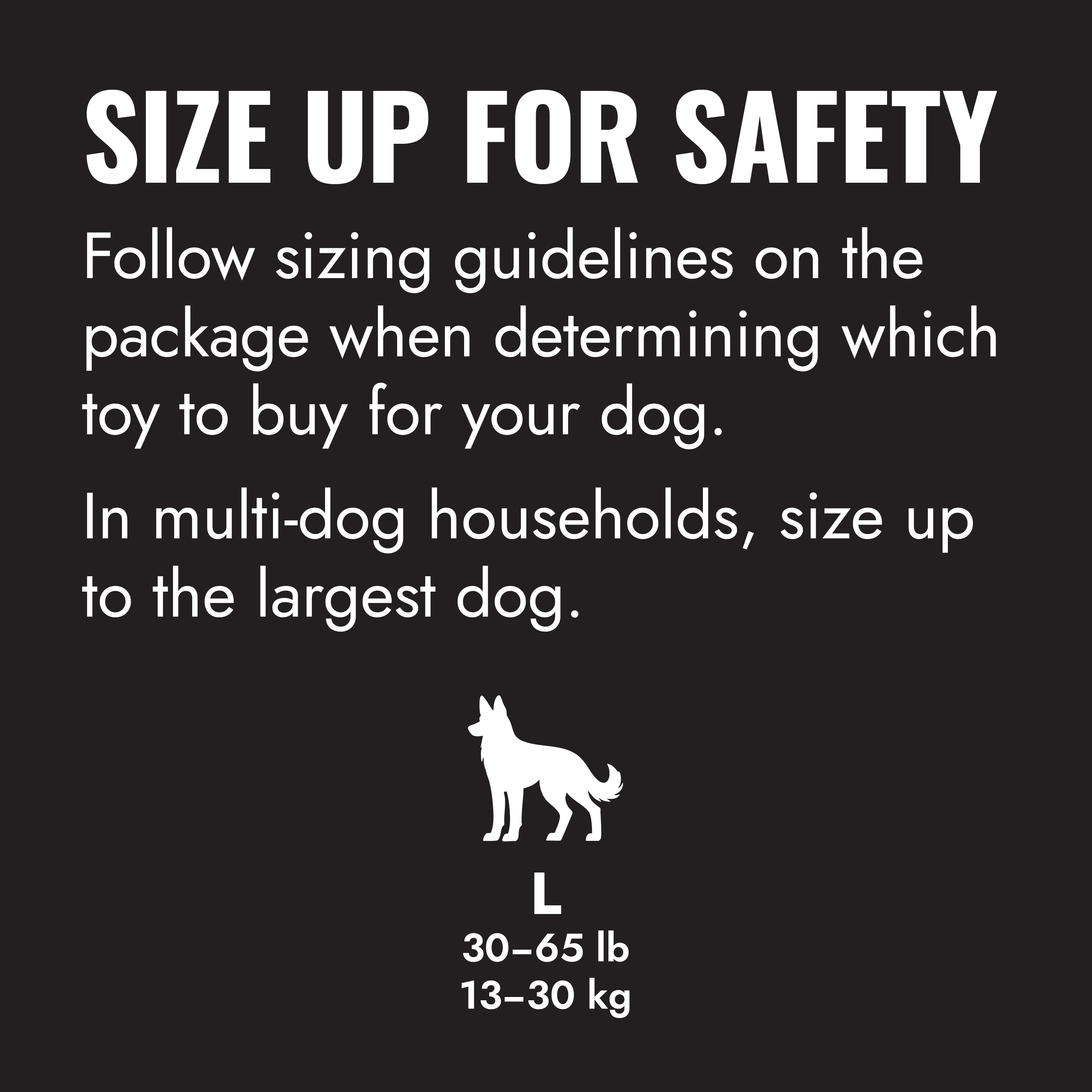 KONG Extreme Ball w/Rope educational1 product image