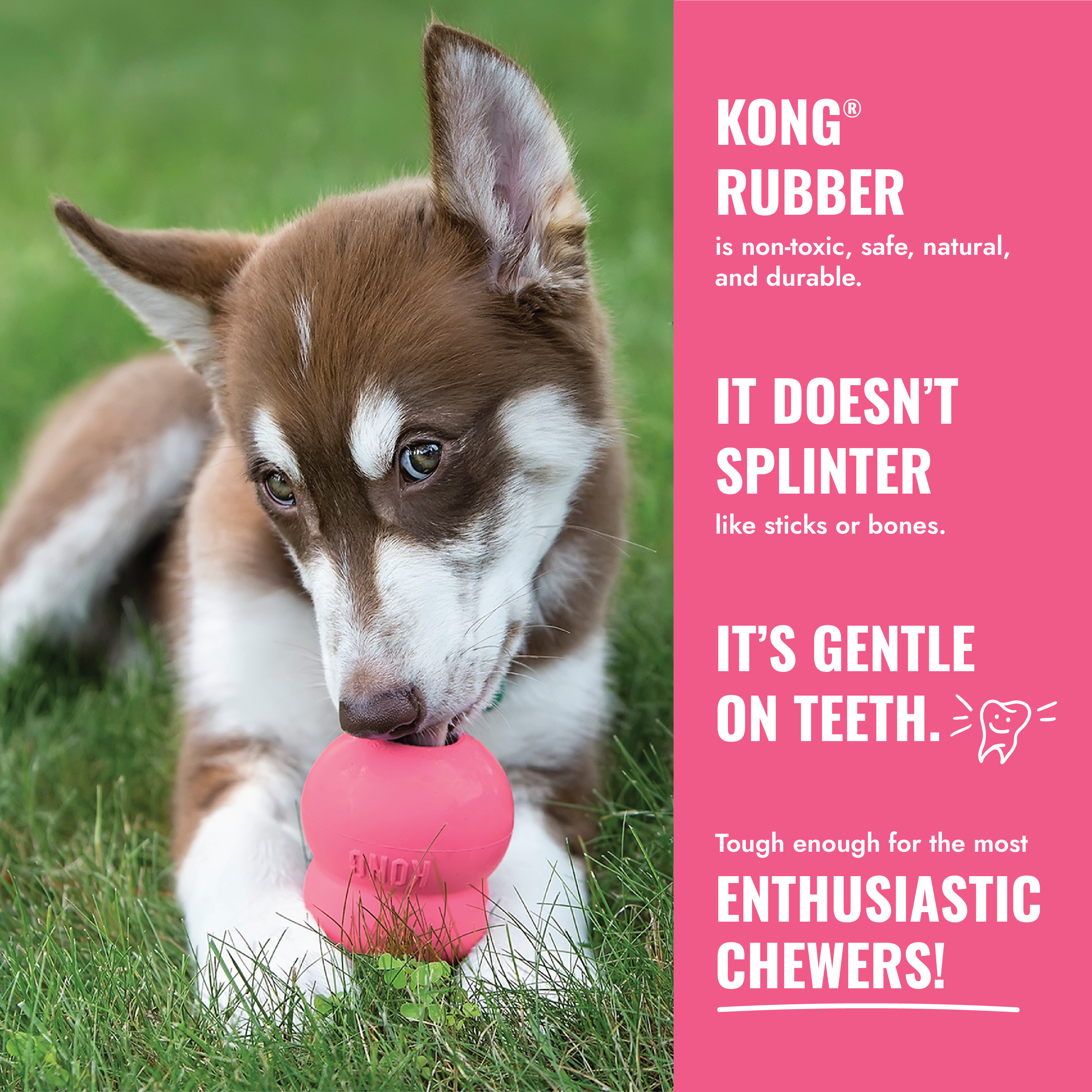 KONG Puppy Pink educational6 product image