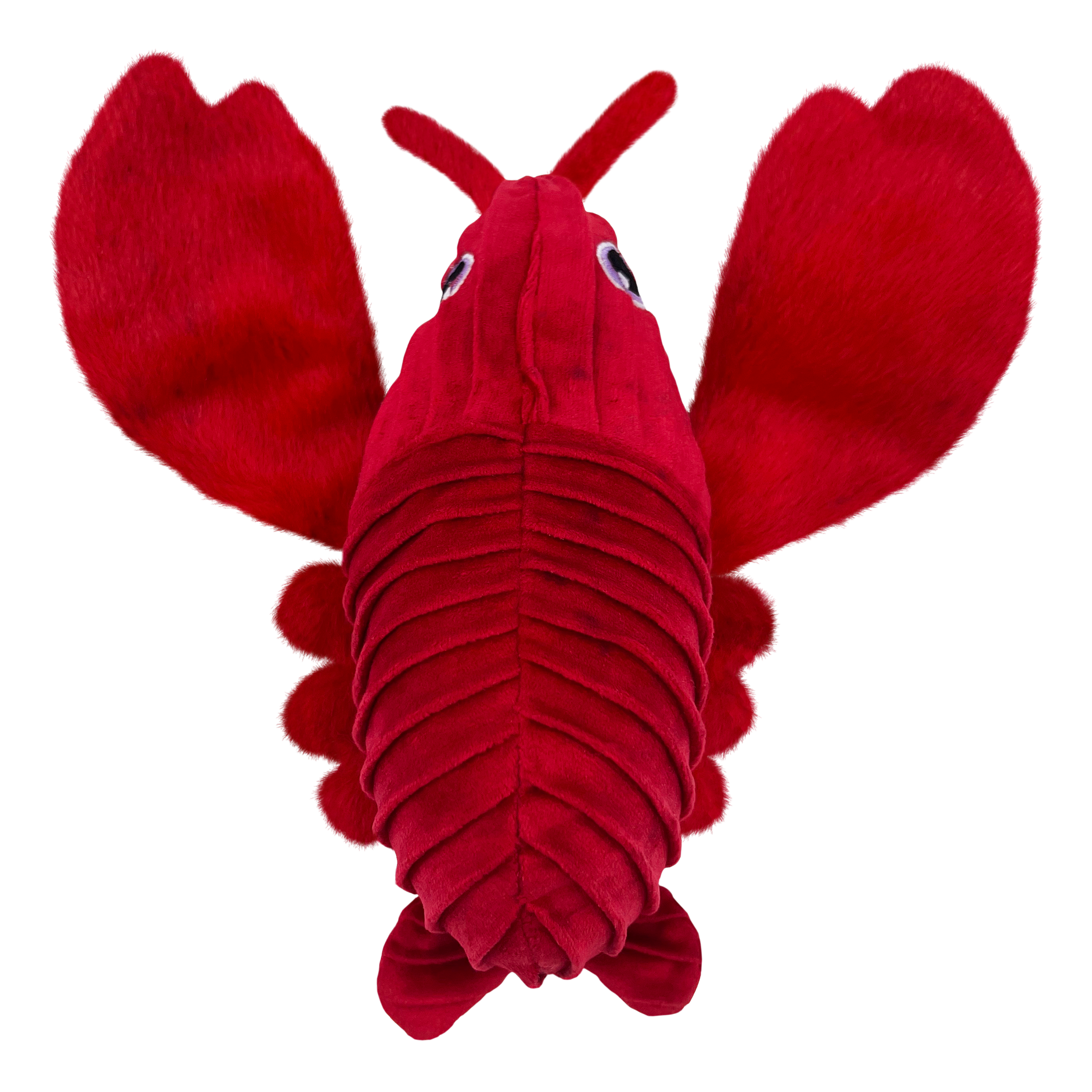 Cuteseas Rufflez Lobster offpack product image