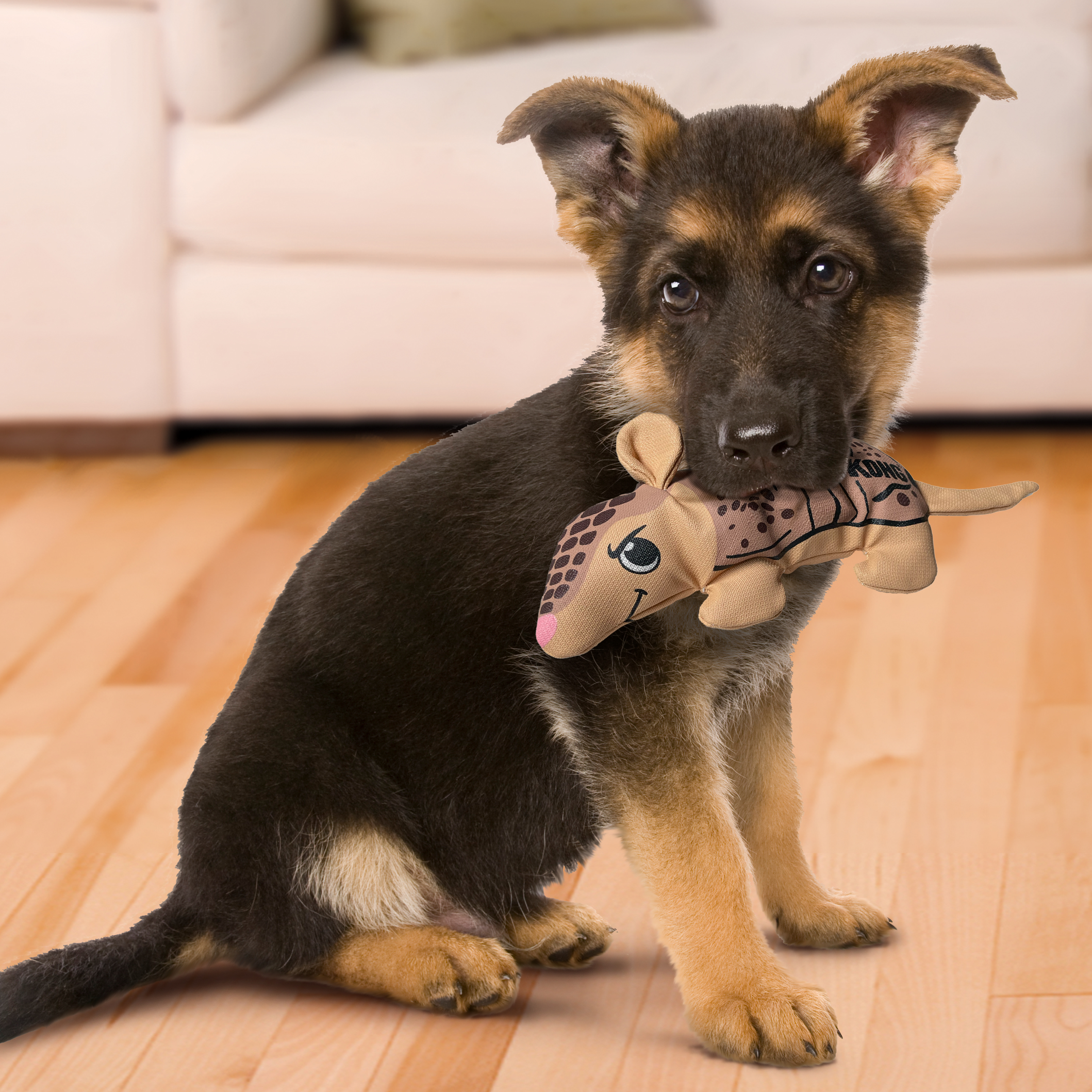 KONG Maxx Armadillo Dog Toy