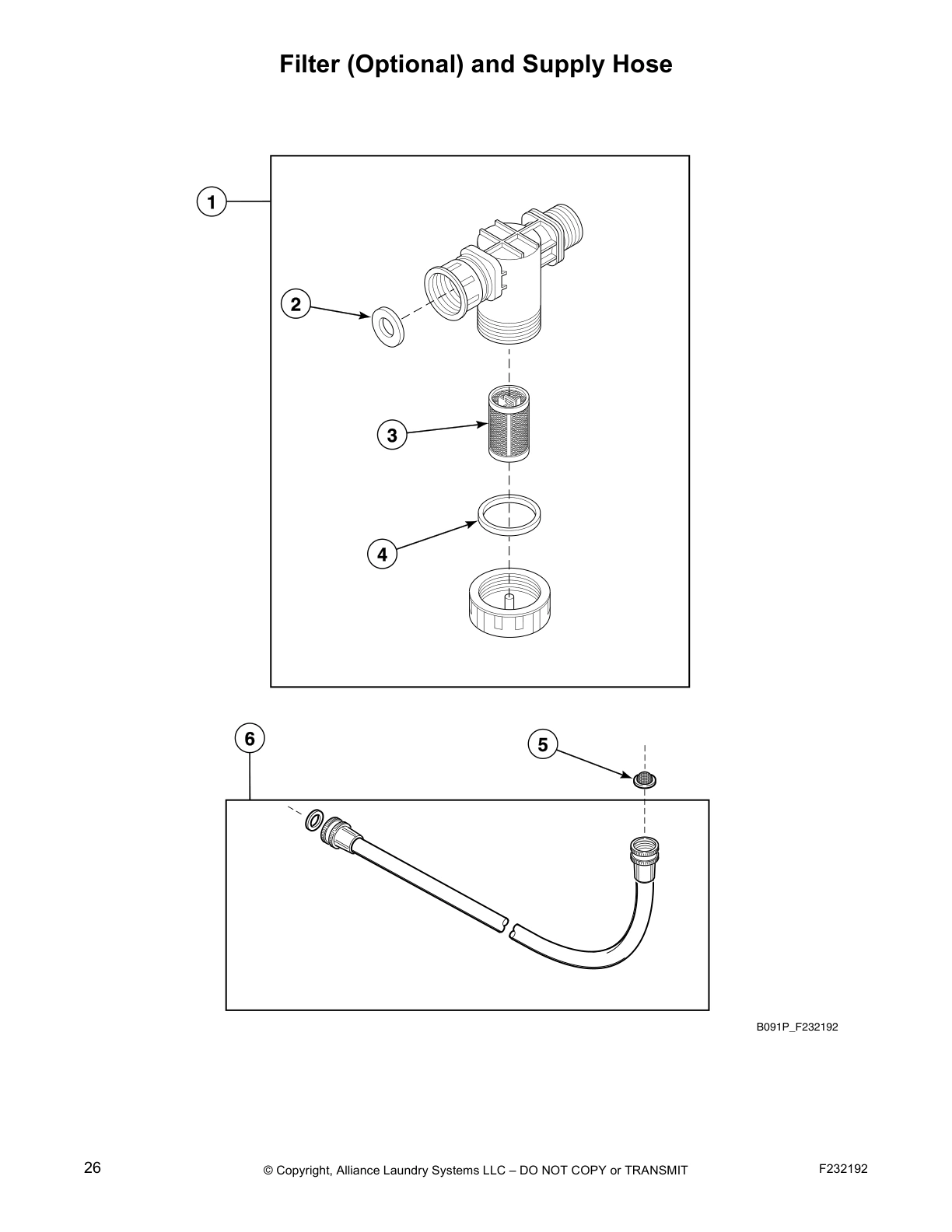 Filter (Optional) and Supply Hose