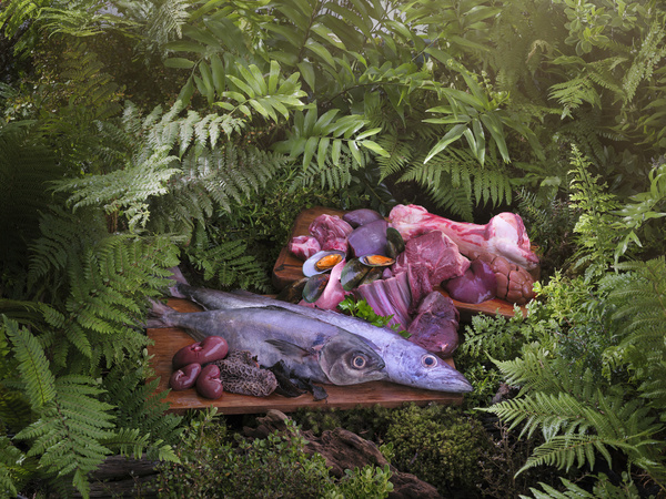 Air-Dried 經典系列成分圖片