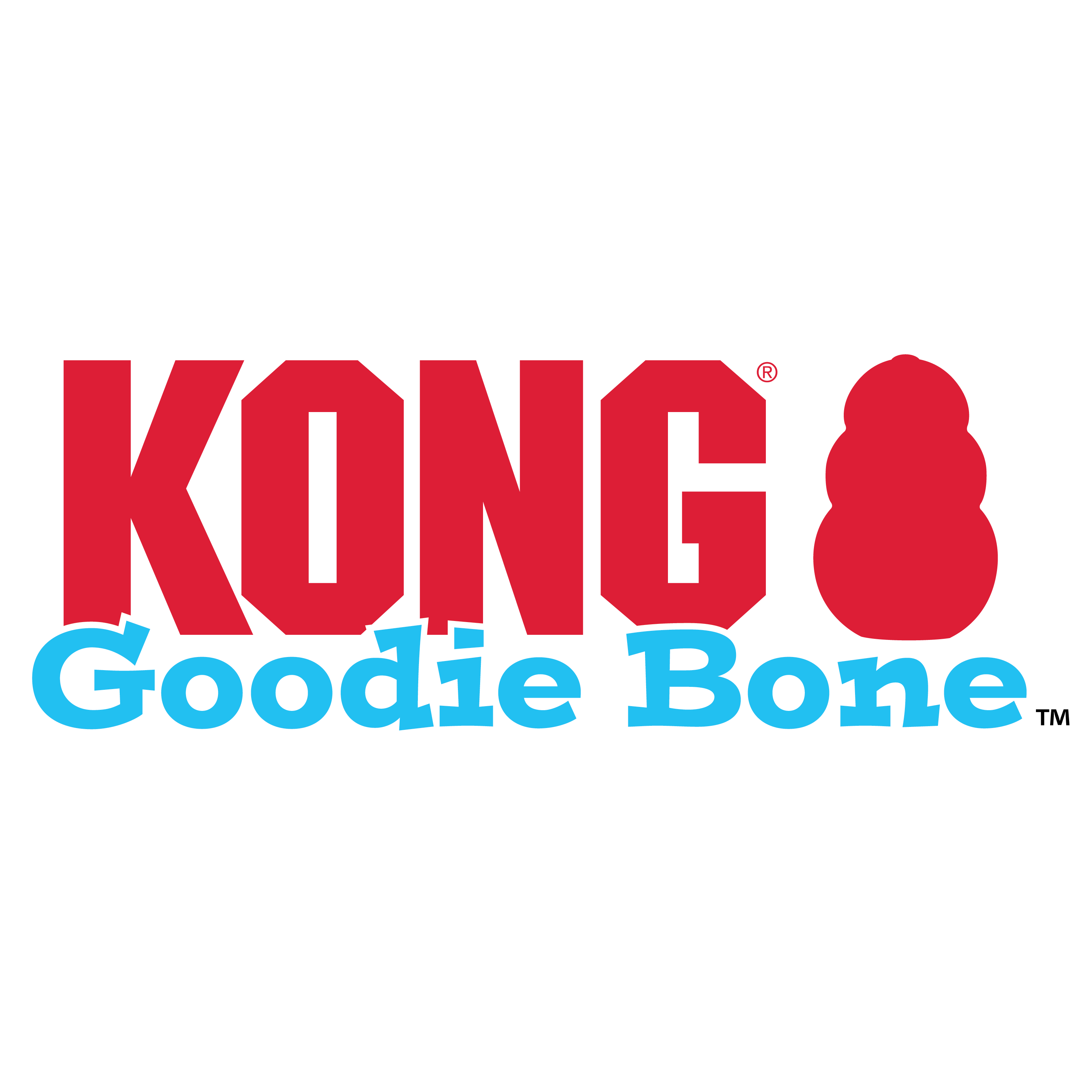 Kong puppy goodie bone best sale with rope