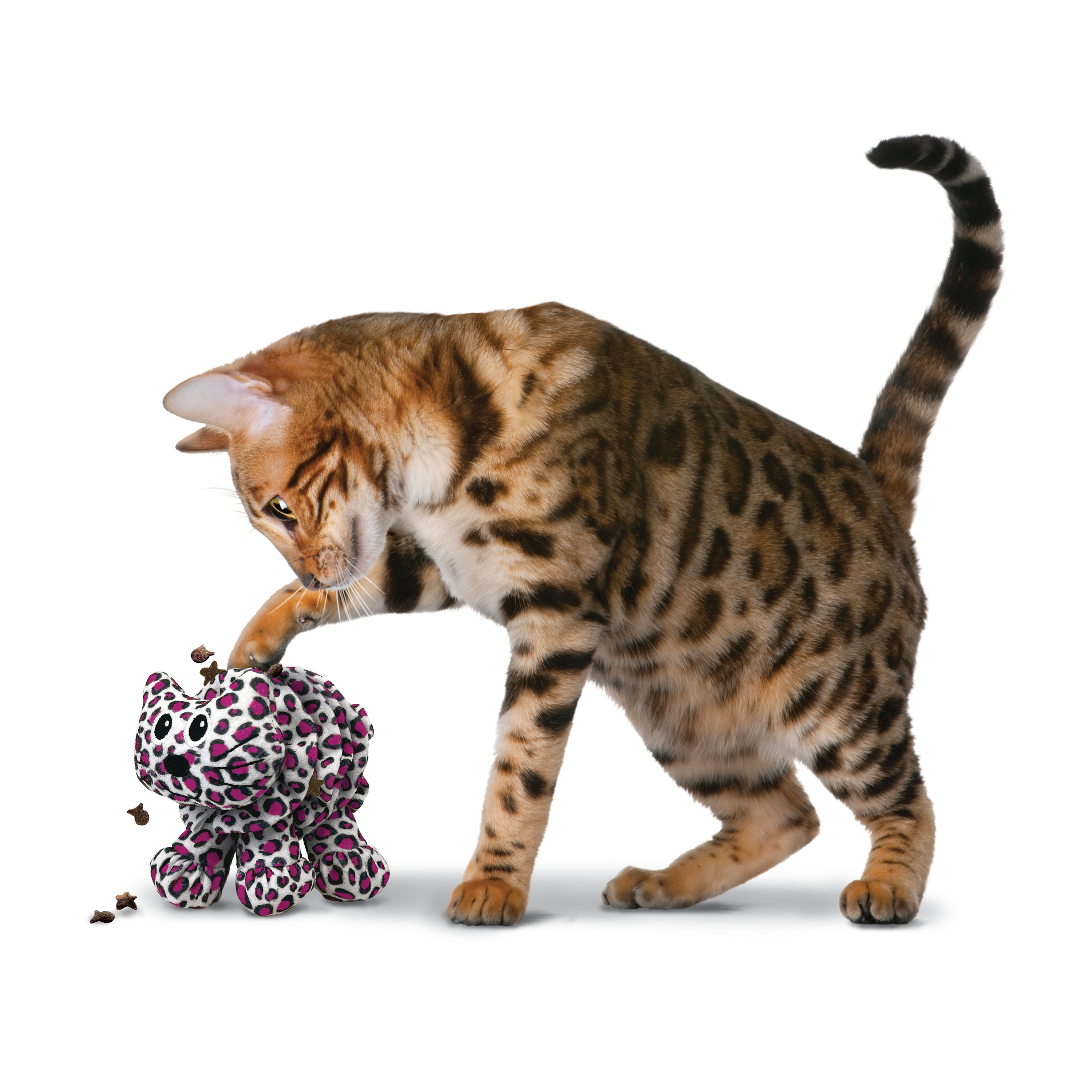 Cat Puzzlements Forage Kitty lifestyle product image