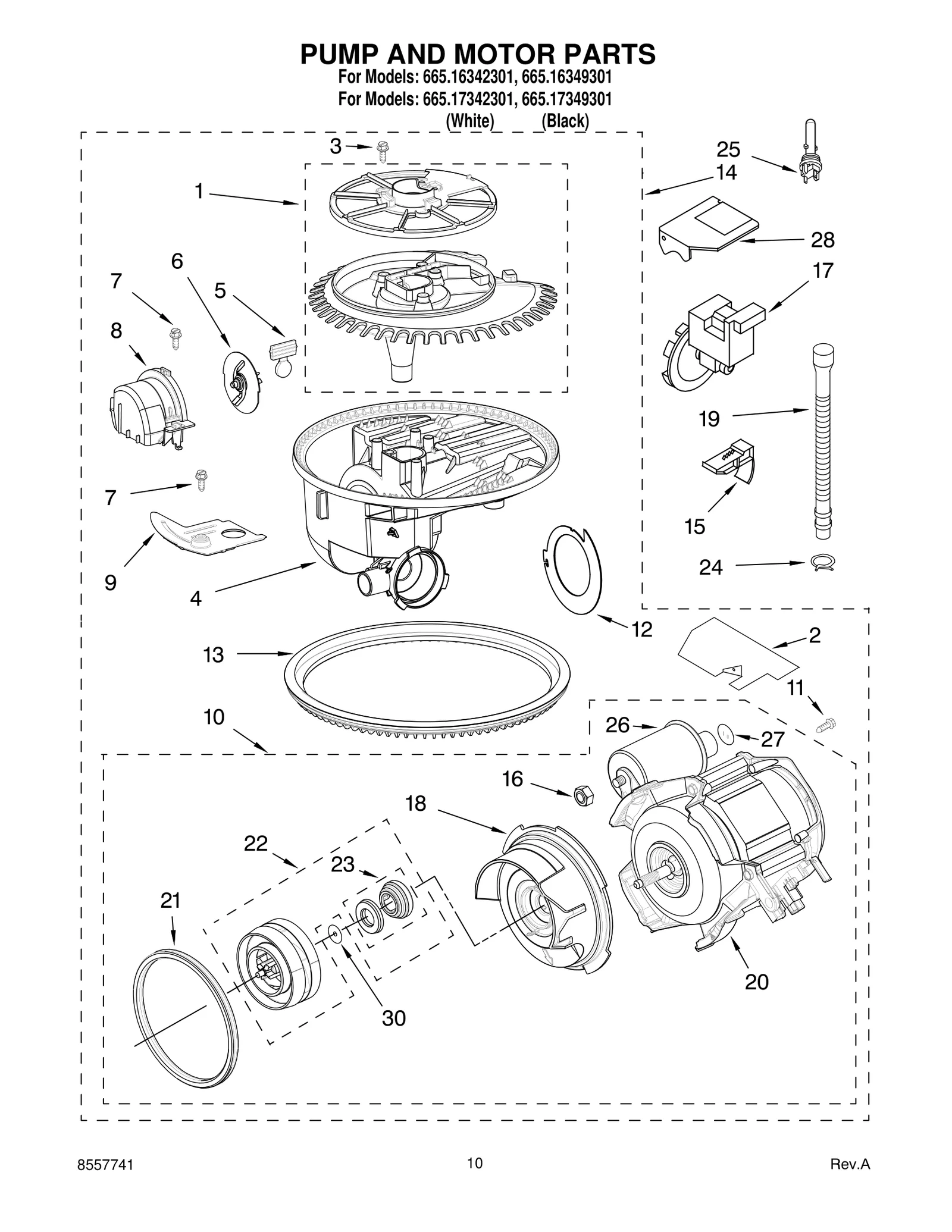 PUMP AND MOTOR PARTS