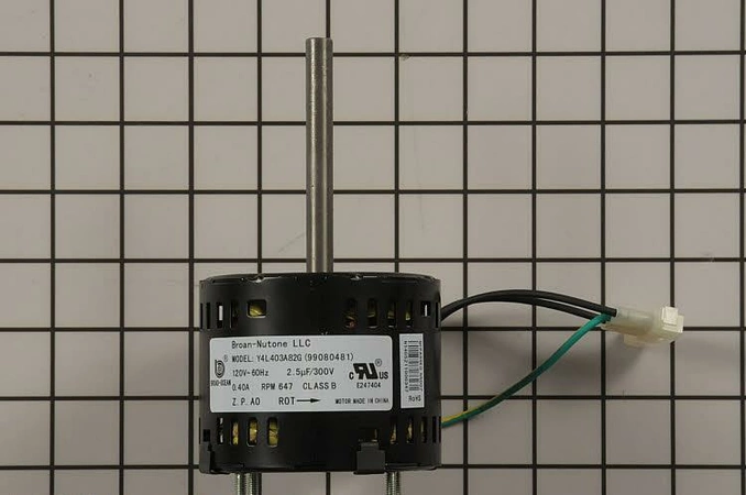 S99080481