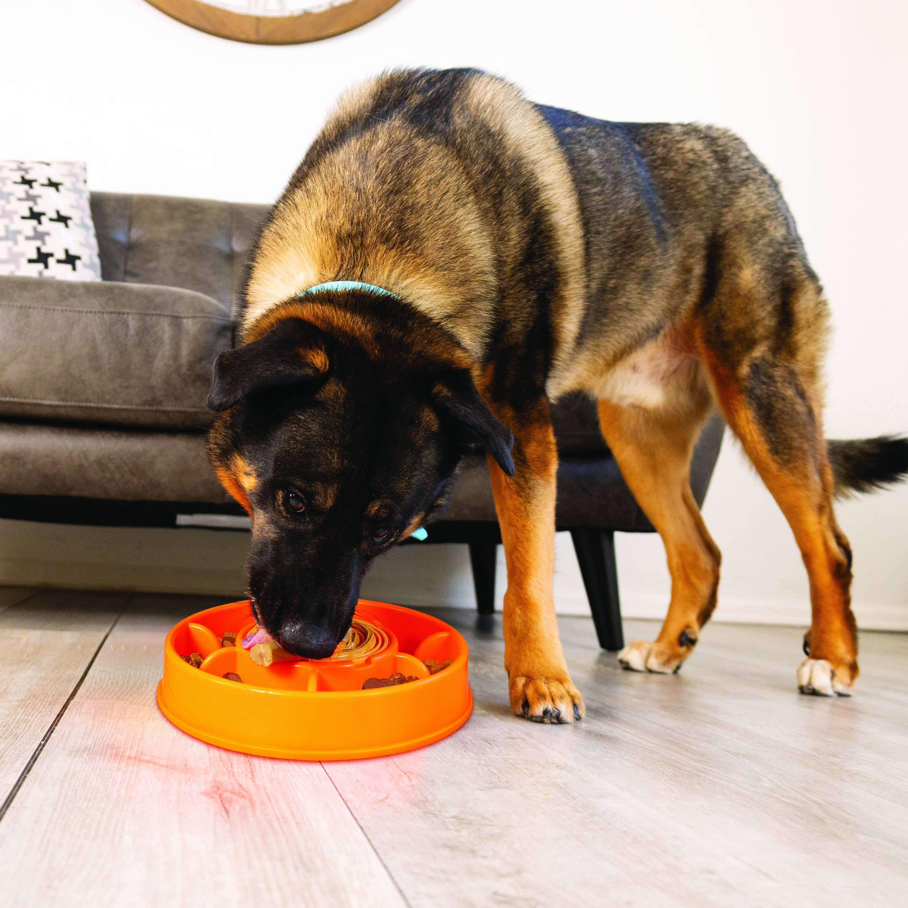 Licks Mealtime lifestyle product image